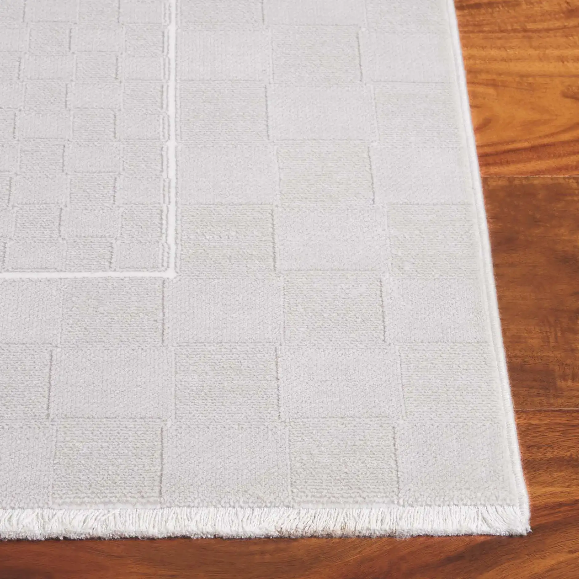 Signature Border Rug in Signature Border Rug in a styled room