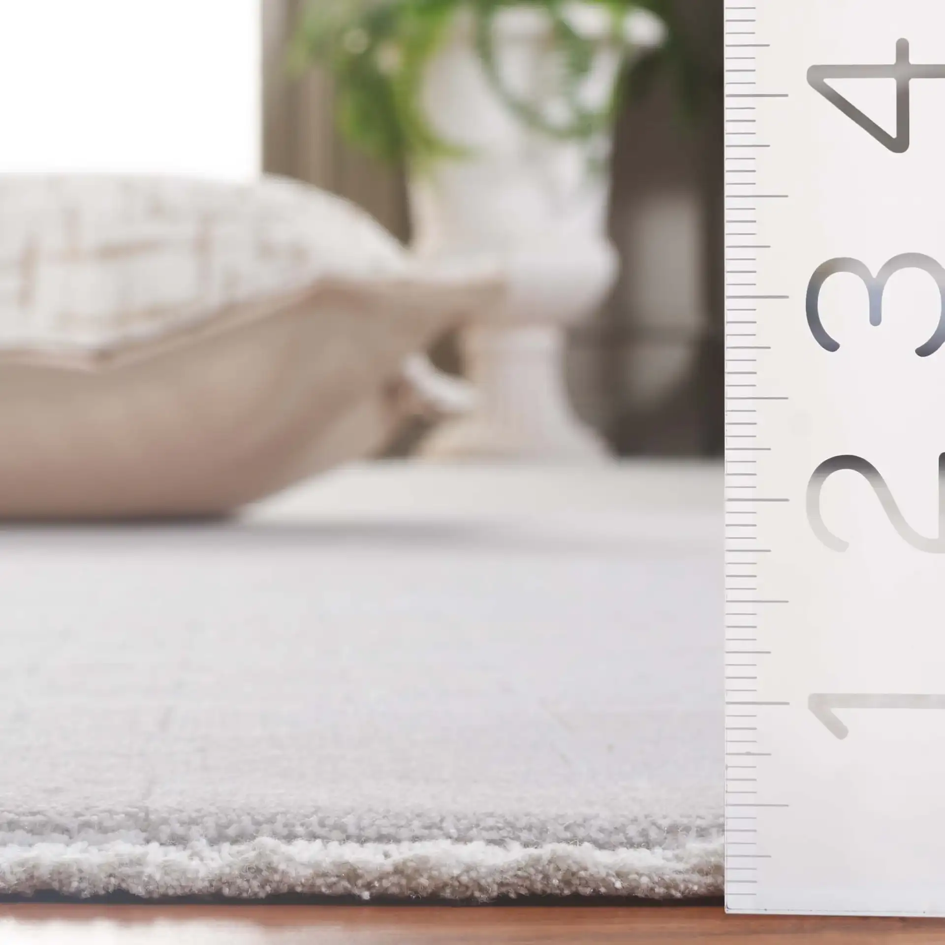 Signature Border Rug in Signature Border Rug in a styled room