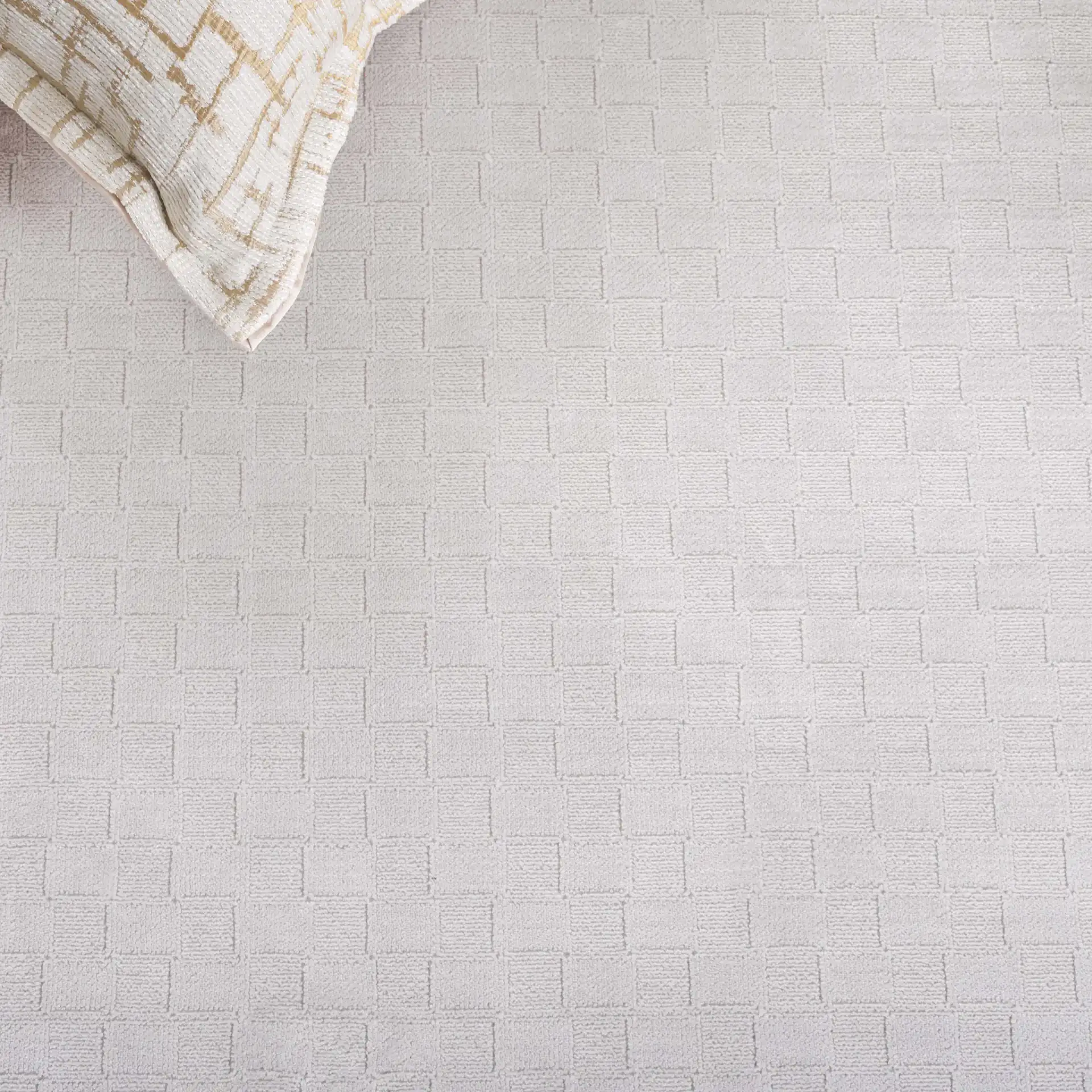 Signature Border Rug in Signature Border Rug in a styled room