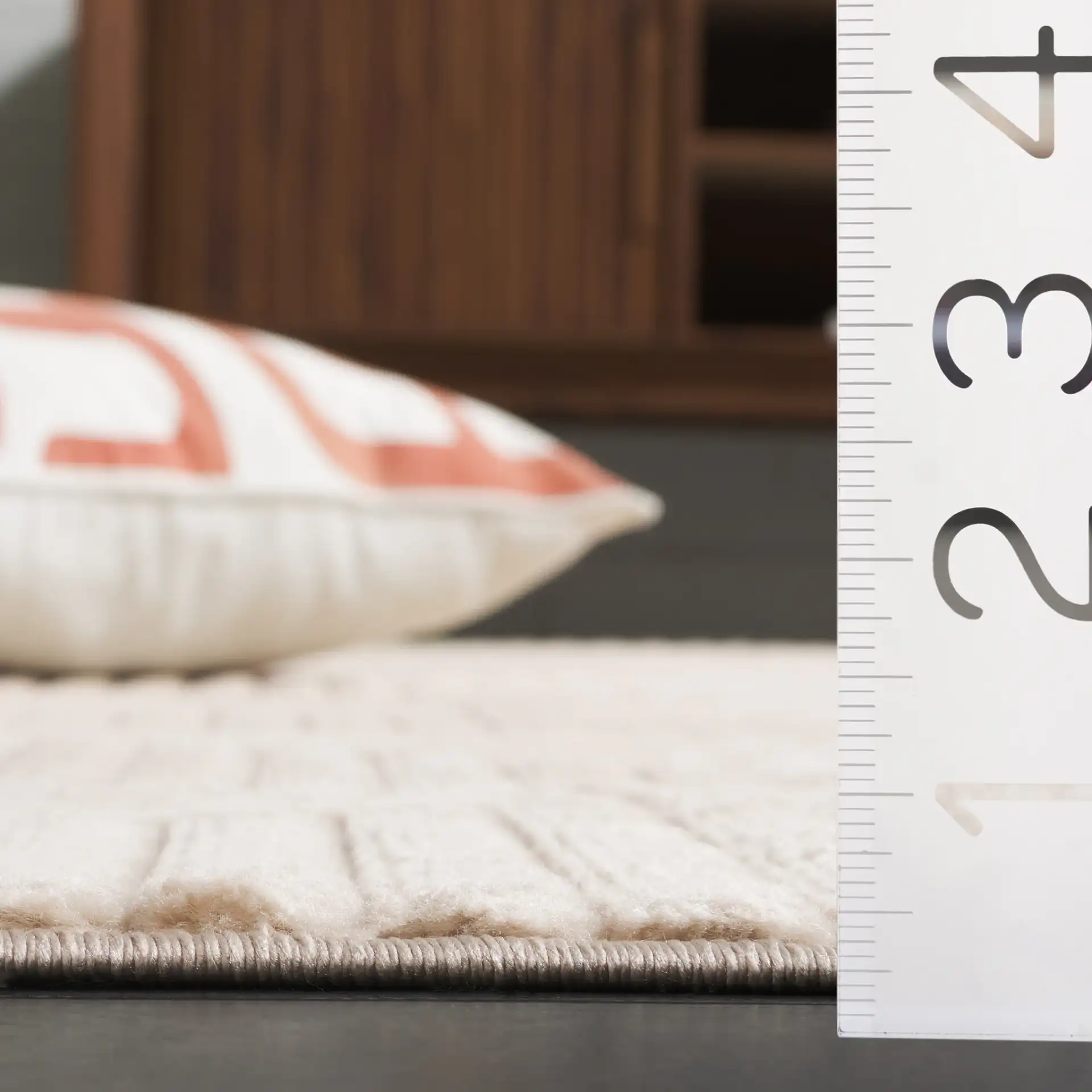 Selena Concentric Arch Rug in Beige in a styled room