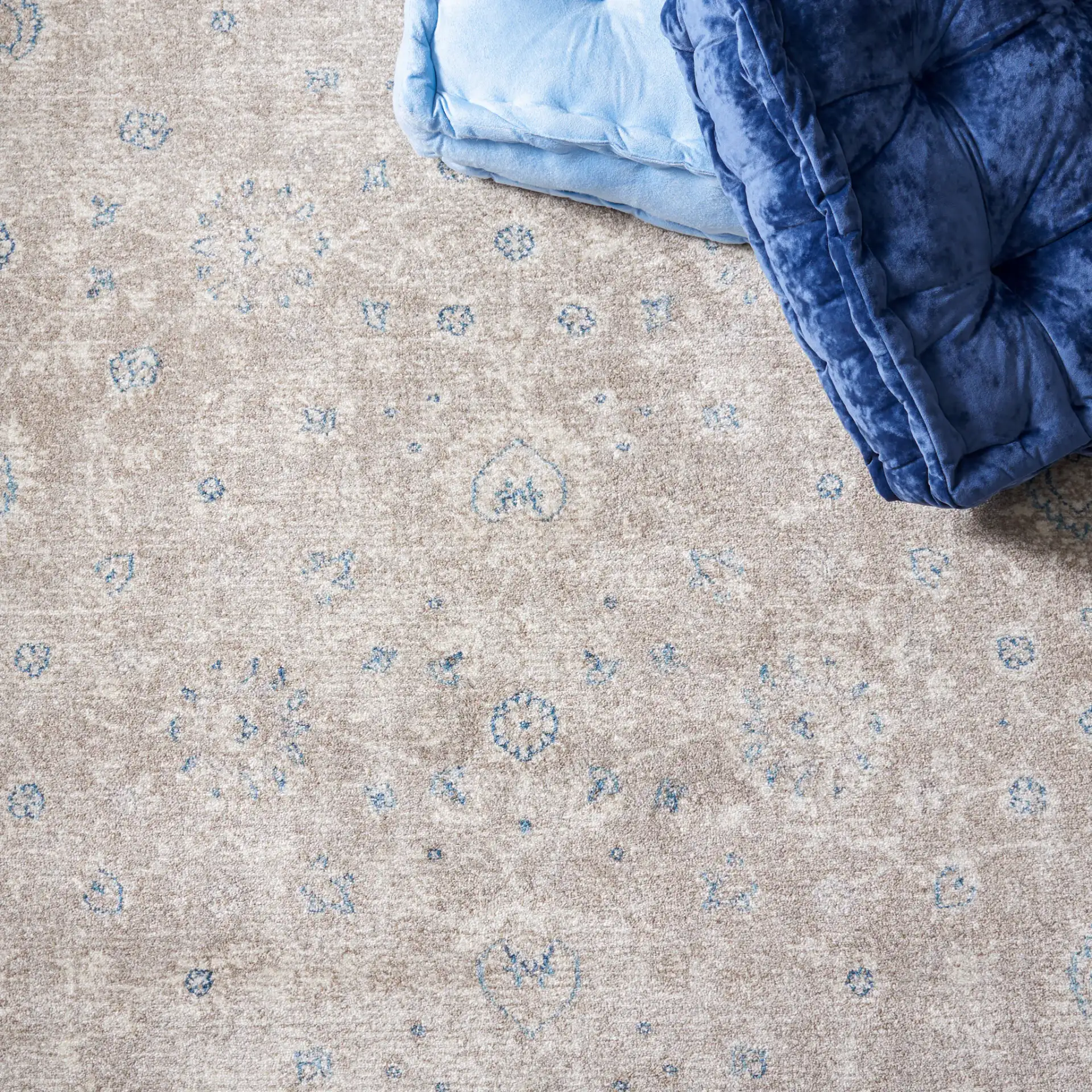Sofia Allover Floral Bordered Rug in Tan / Blue in a styled room