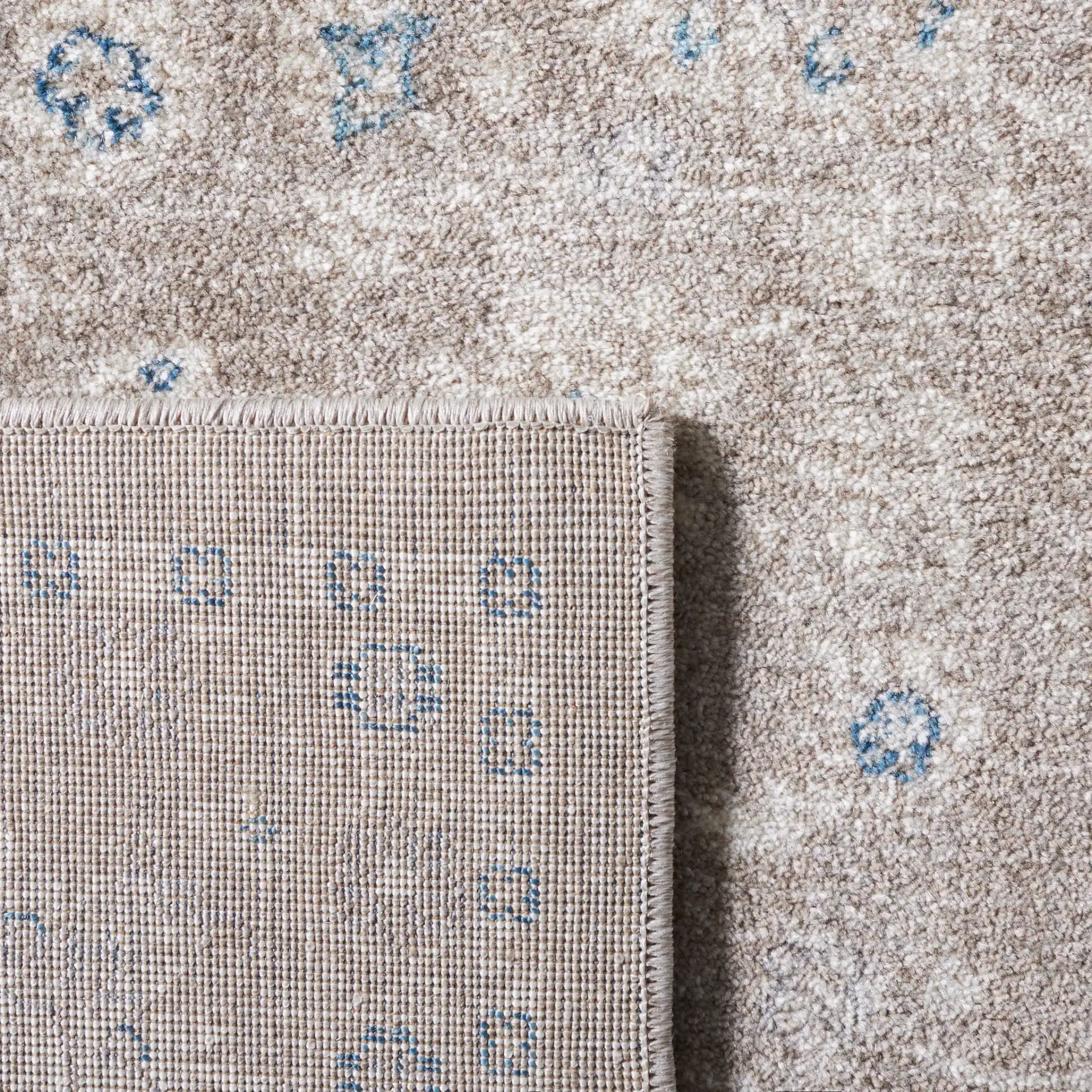 Sofia Allover Floral Bordered Rug in Tan / Blue in a styled room