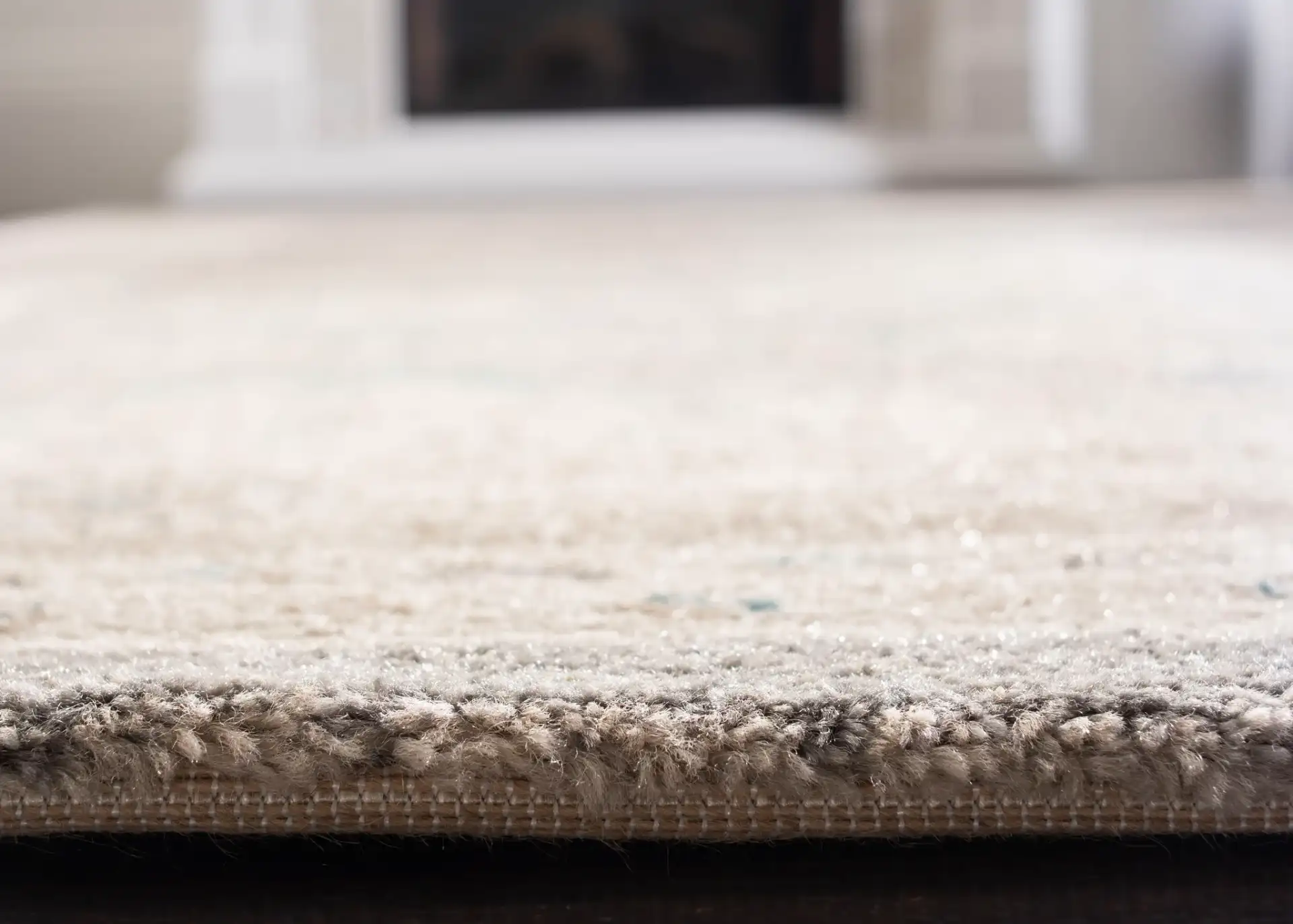 Sofia Medallion Bordered Rug in Light Gray / Beige in a styled room