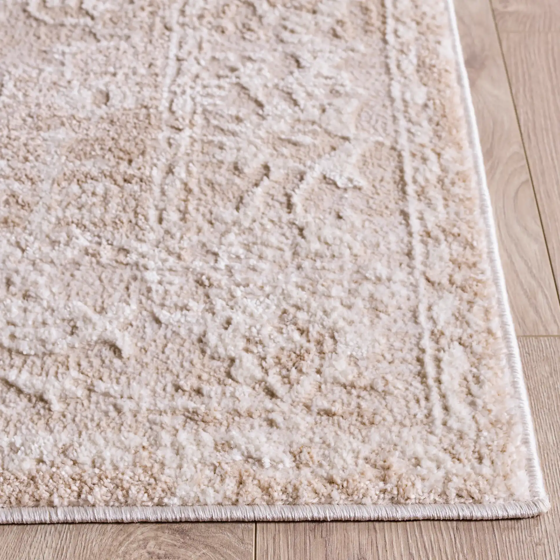 Spencer Transitional Medallion Rug in Ivory / Beige in a styled room
