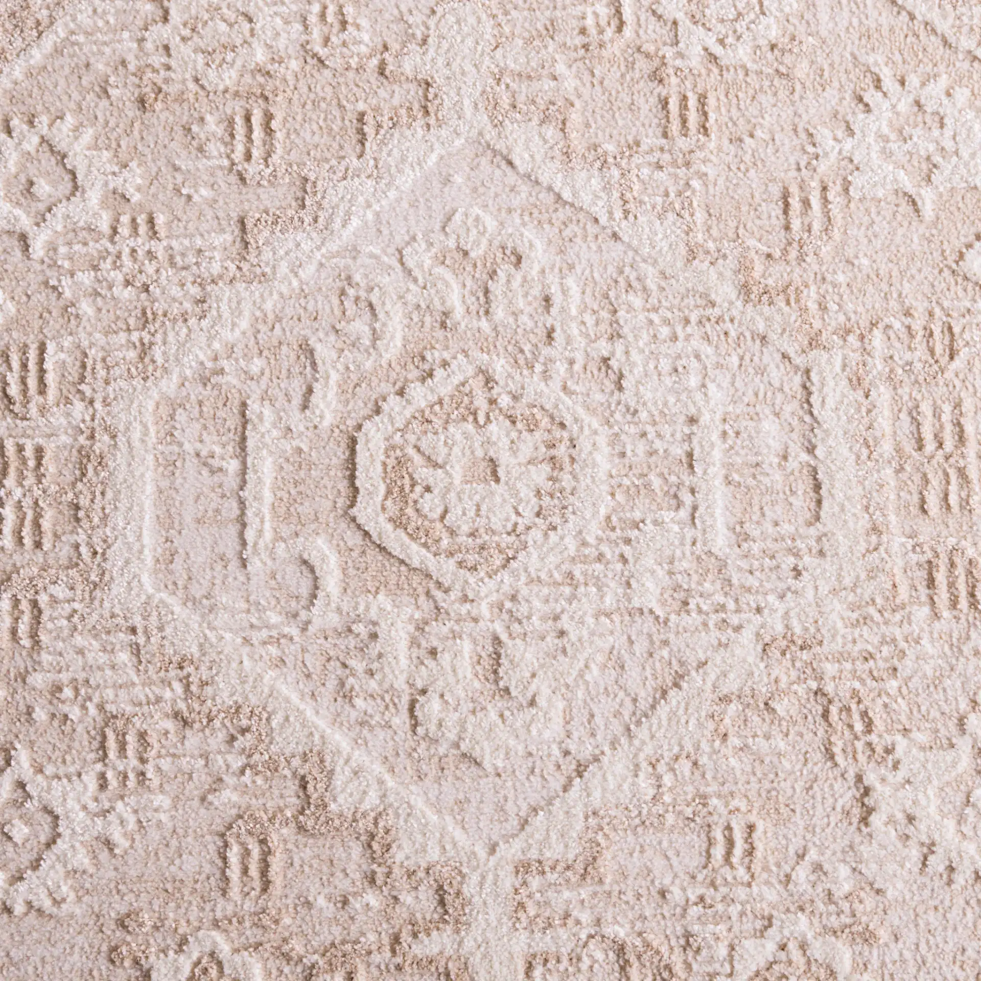 Spencer Transitional Medallion Rug in Ivory / Beige in a styled room