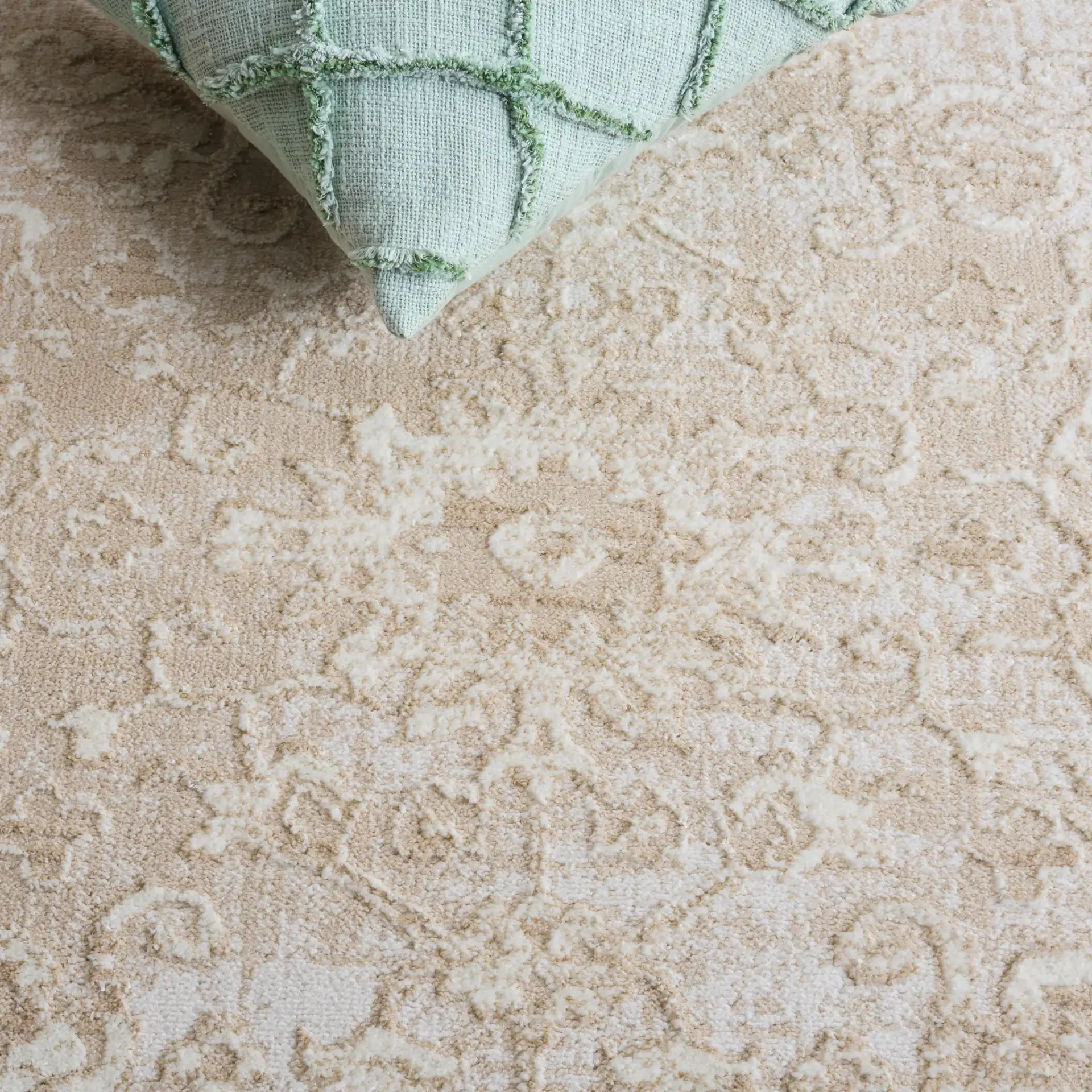 Spencer Transitional Allover Rug in Beige / Ivory in a styled room