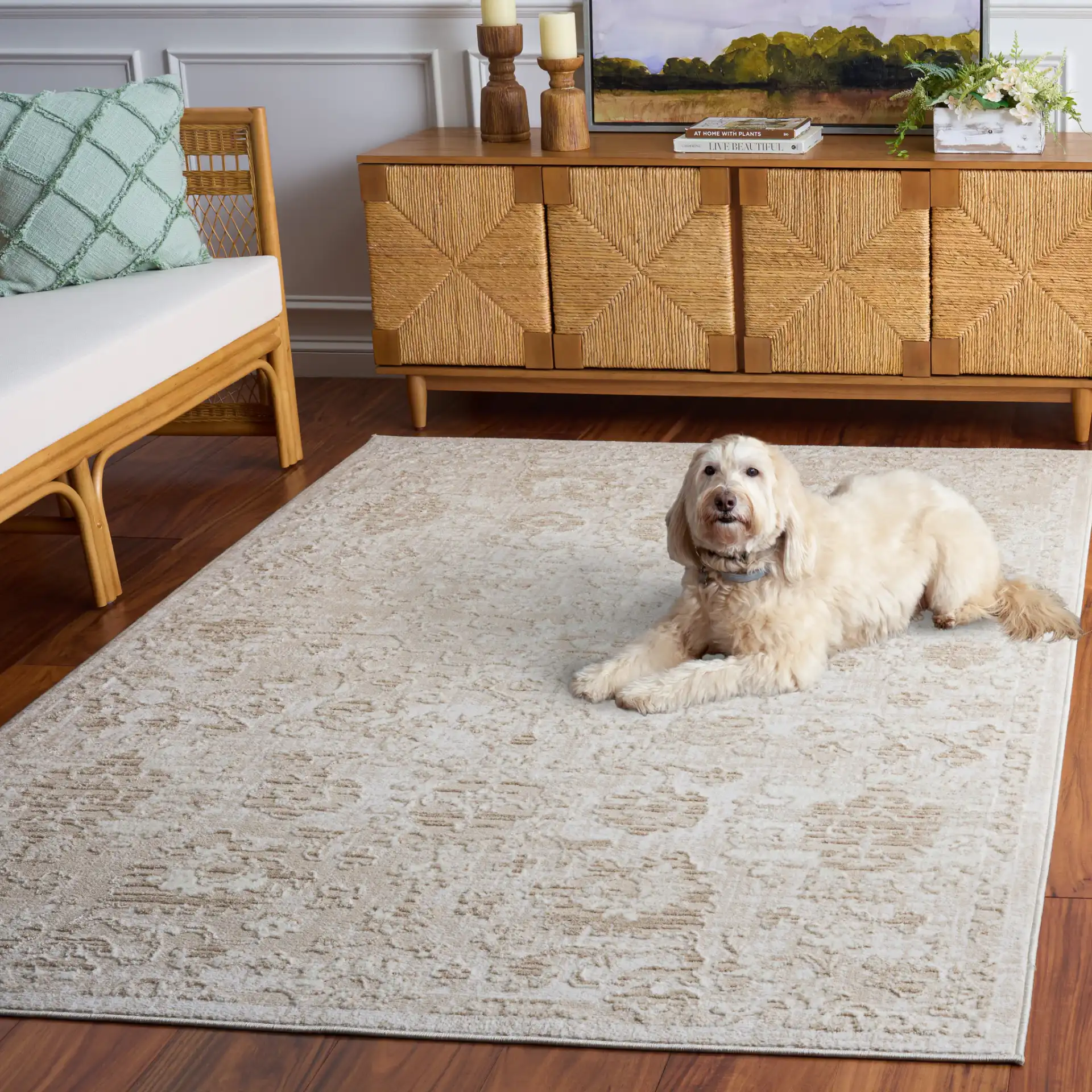 Spencer Transitional Allover Rug in Beige / Ivory in a styled room