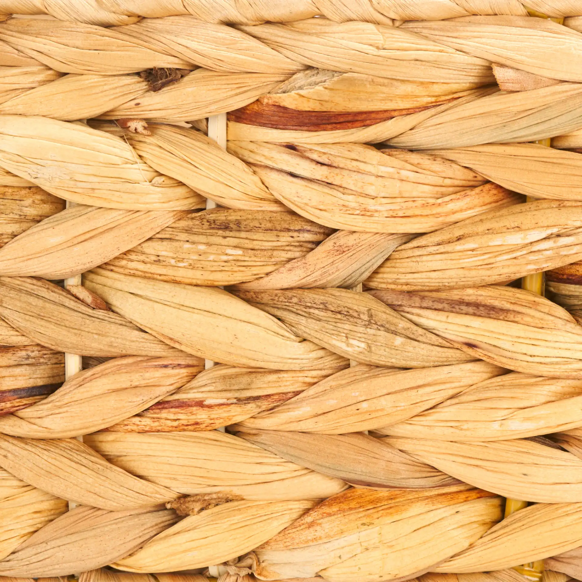 Reilly Set Of Three Baskets in Natural, detail view