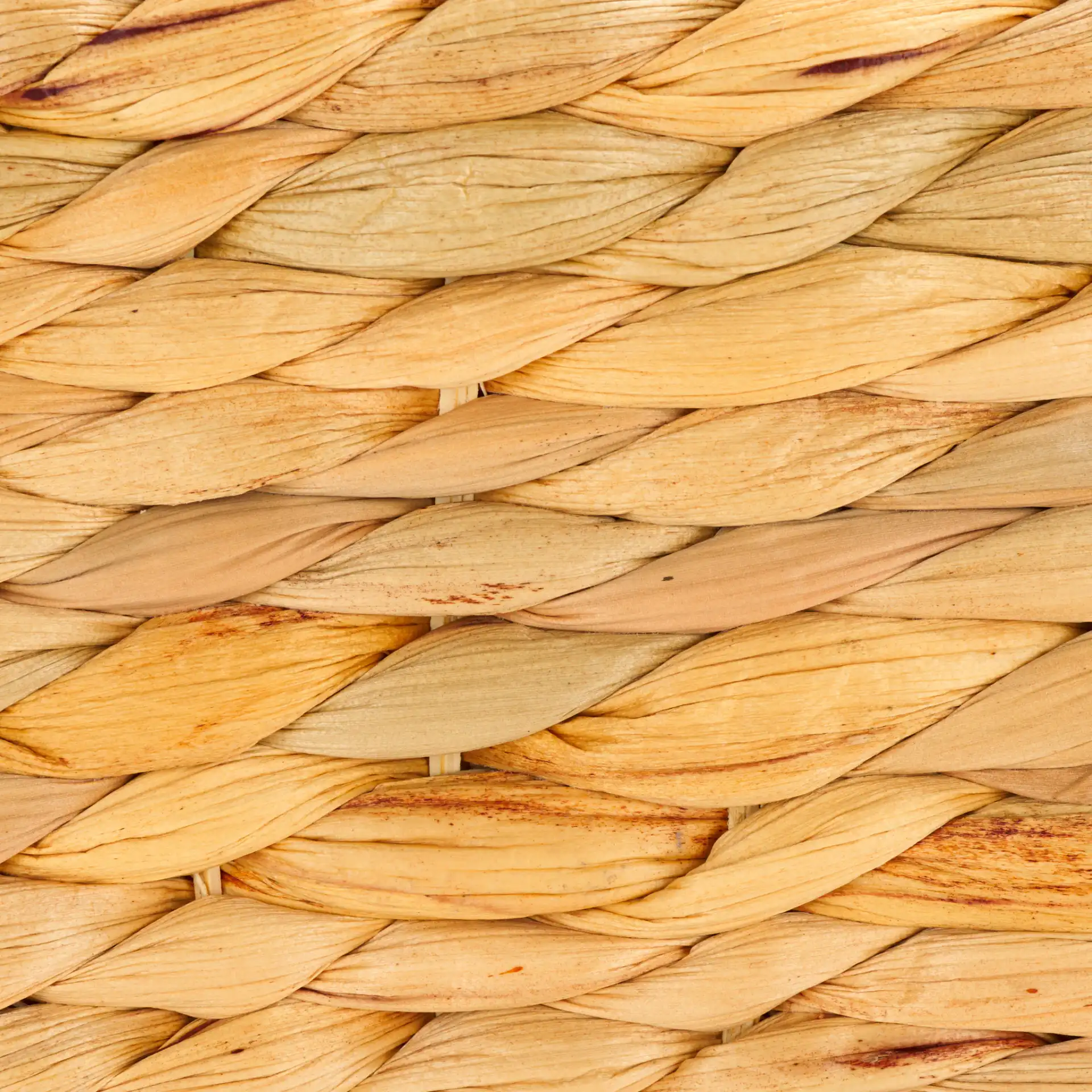 Auroris Basket in Natural, detail view