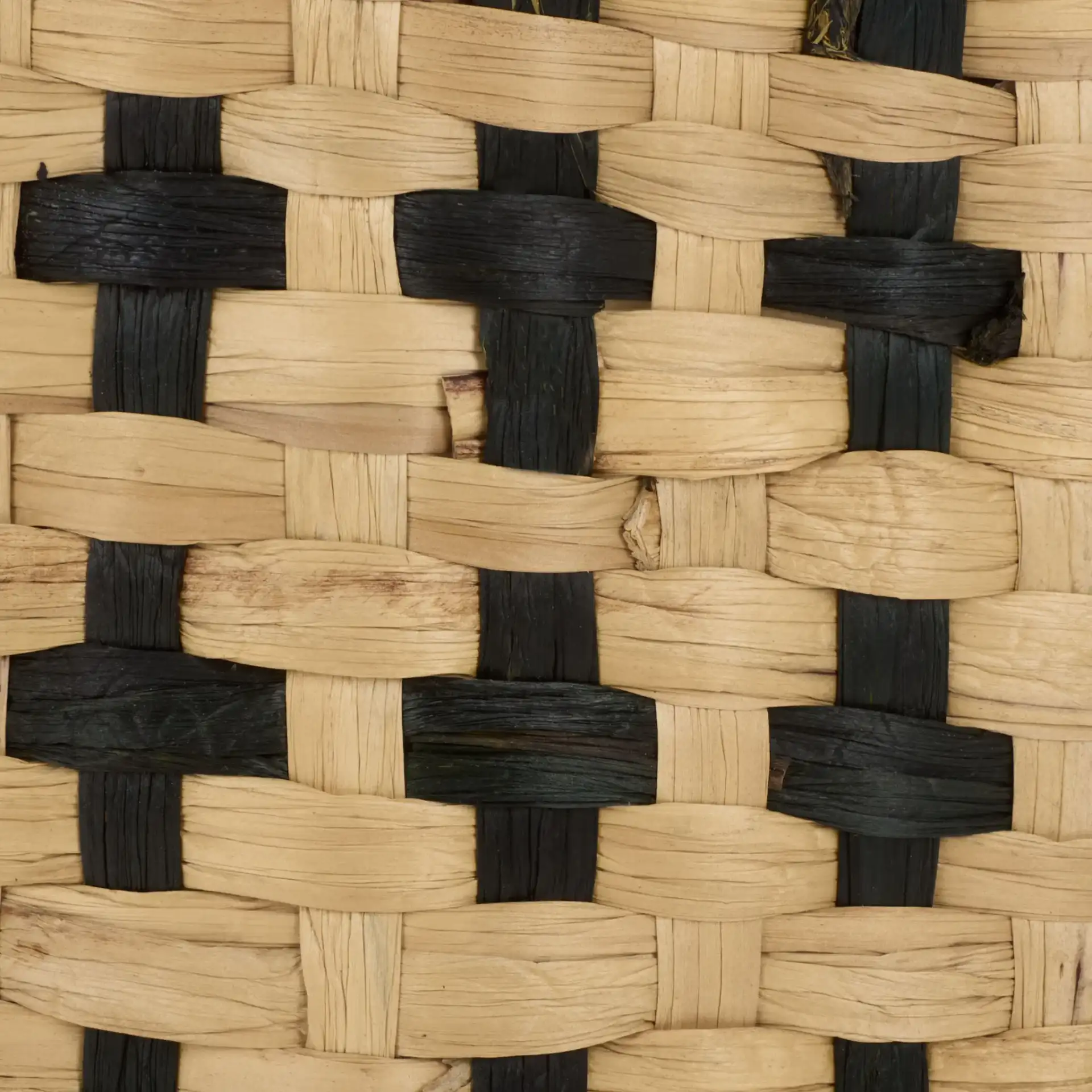 Richy Set Of Two-Baskets in Natural / Black, detail view