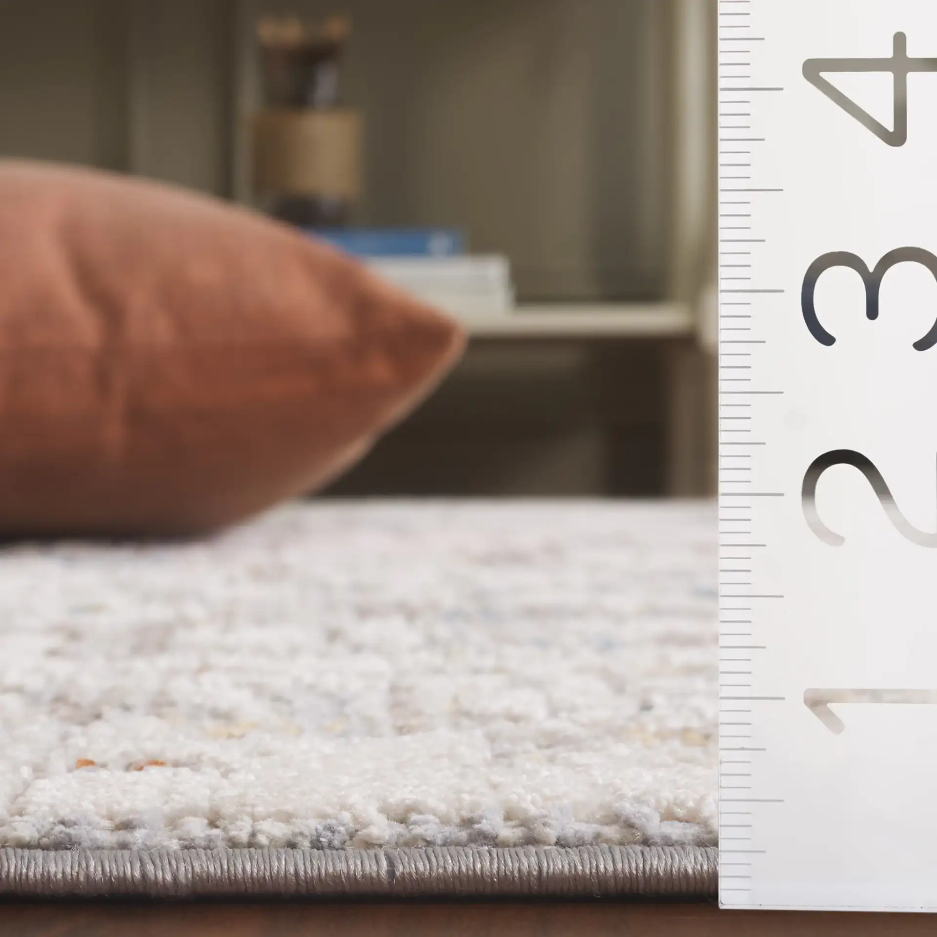 Taylor Distressed Bordered Rug in Ivory / Gray in a styled room