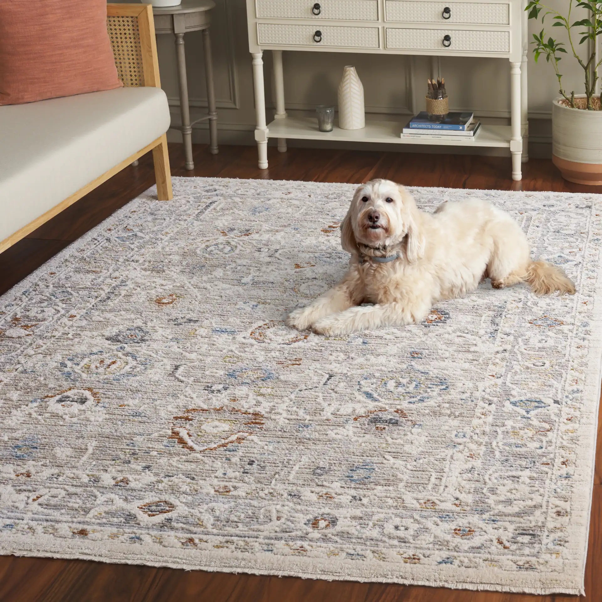 Taylor Distressed Bordered Rug in Ivory / Gray in a styled room
