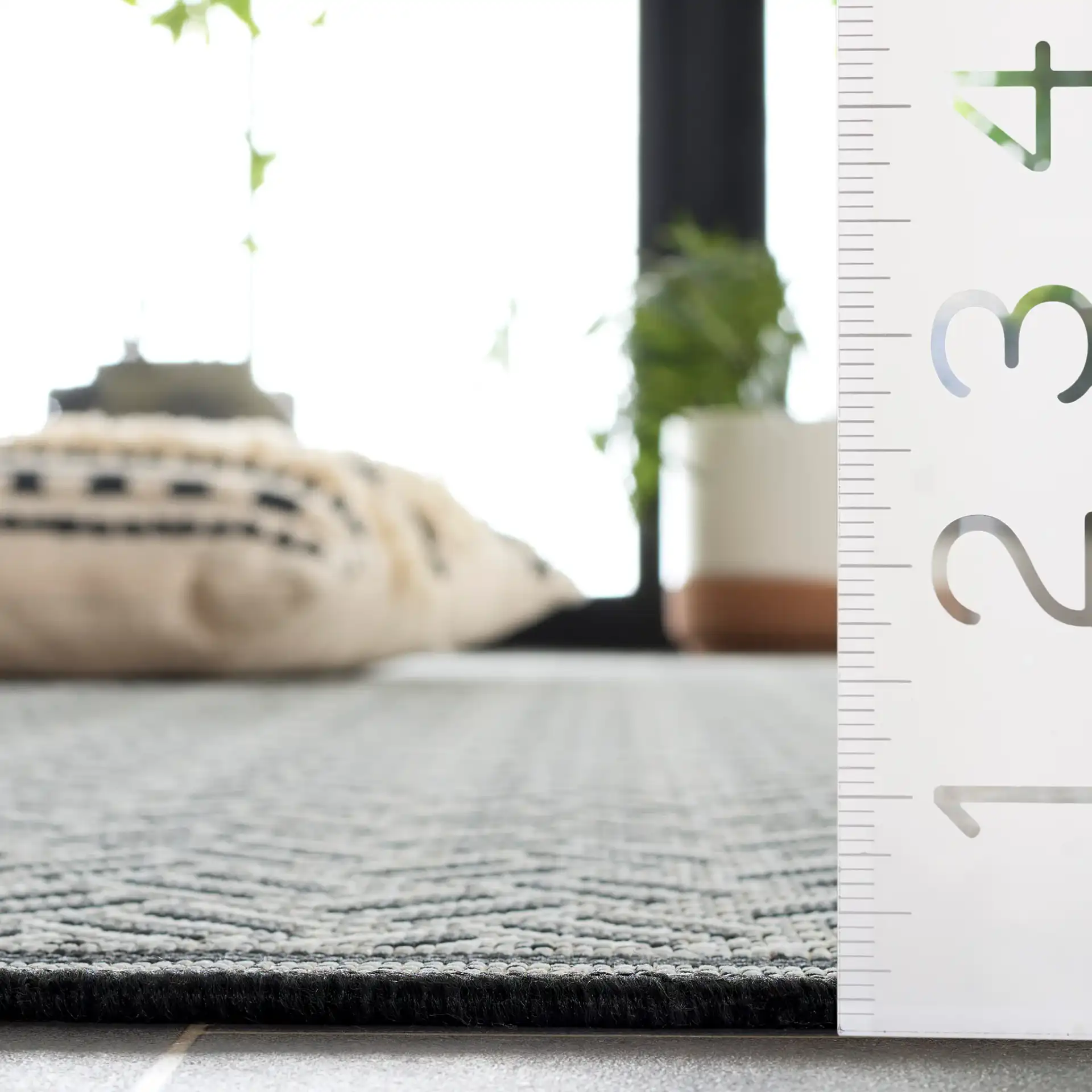 Terrace Basketweave Border Outdoor Rug in Black / White in a styled room