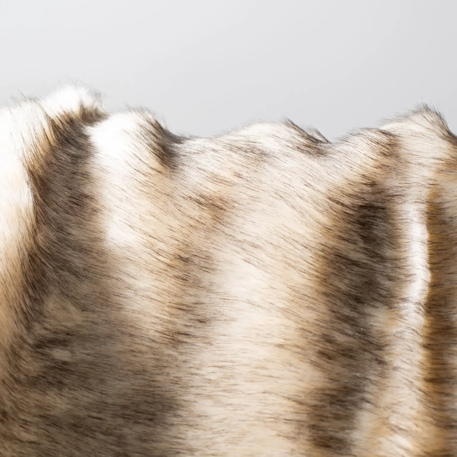 Coco Tips Throw in Taupe in a styled room