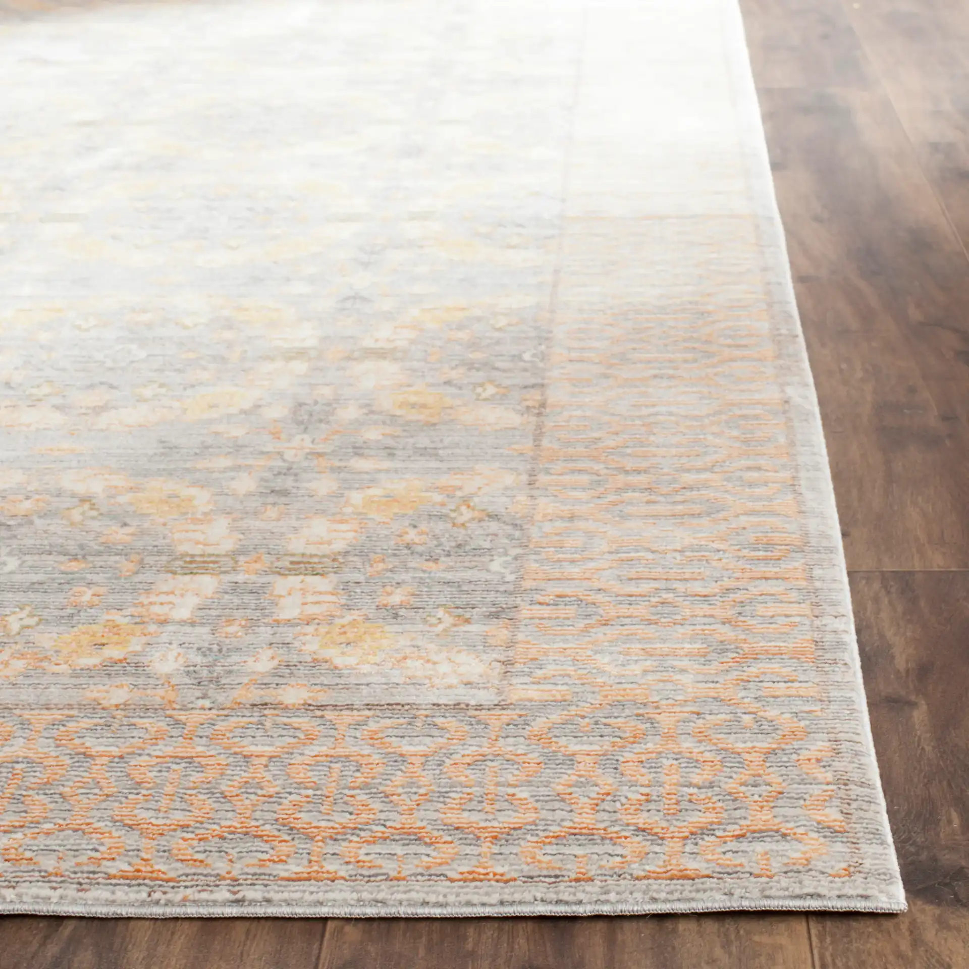 Valencia Bordered Medallion Rug in Light Gray / Multicolor in a styled room