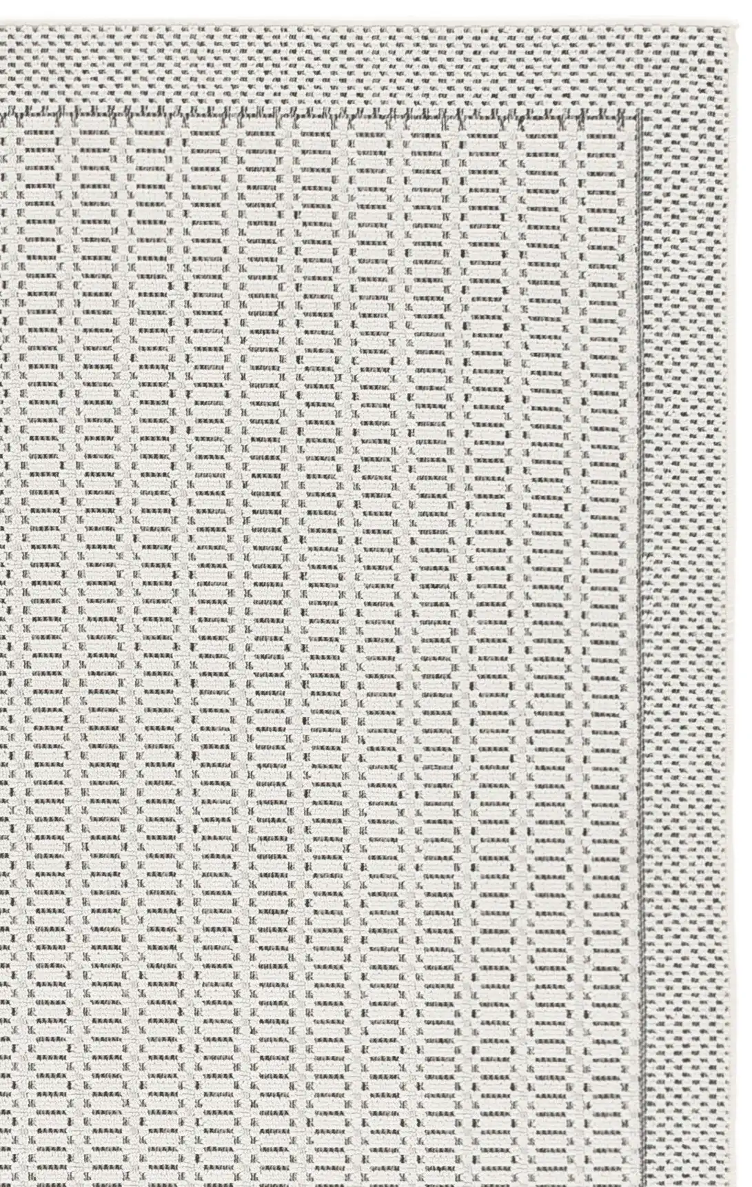 Ivory / Dark Gray