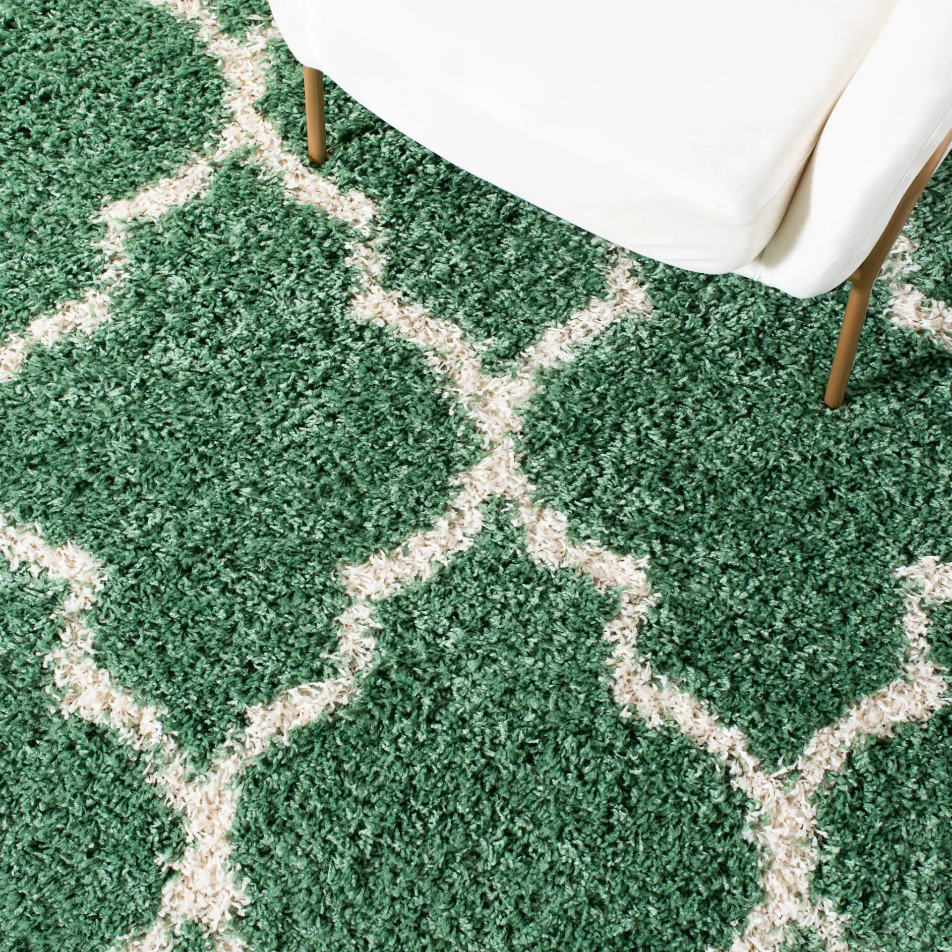 Venus Ogee Trellis Shag Rug in Green / Ivory in a styled room