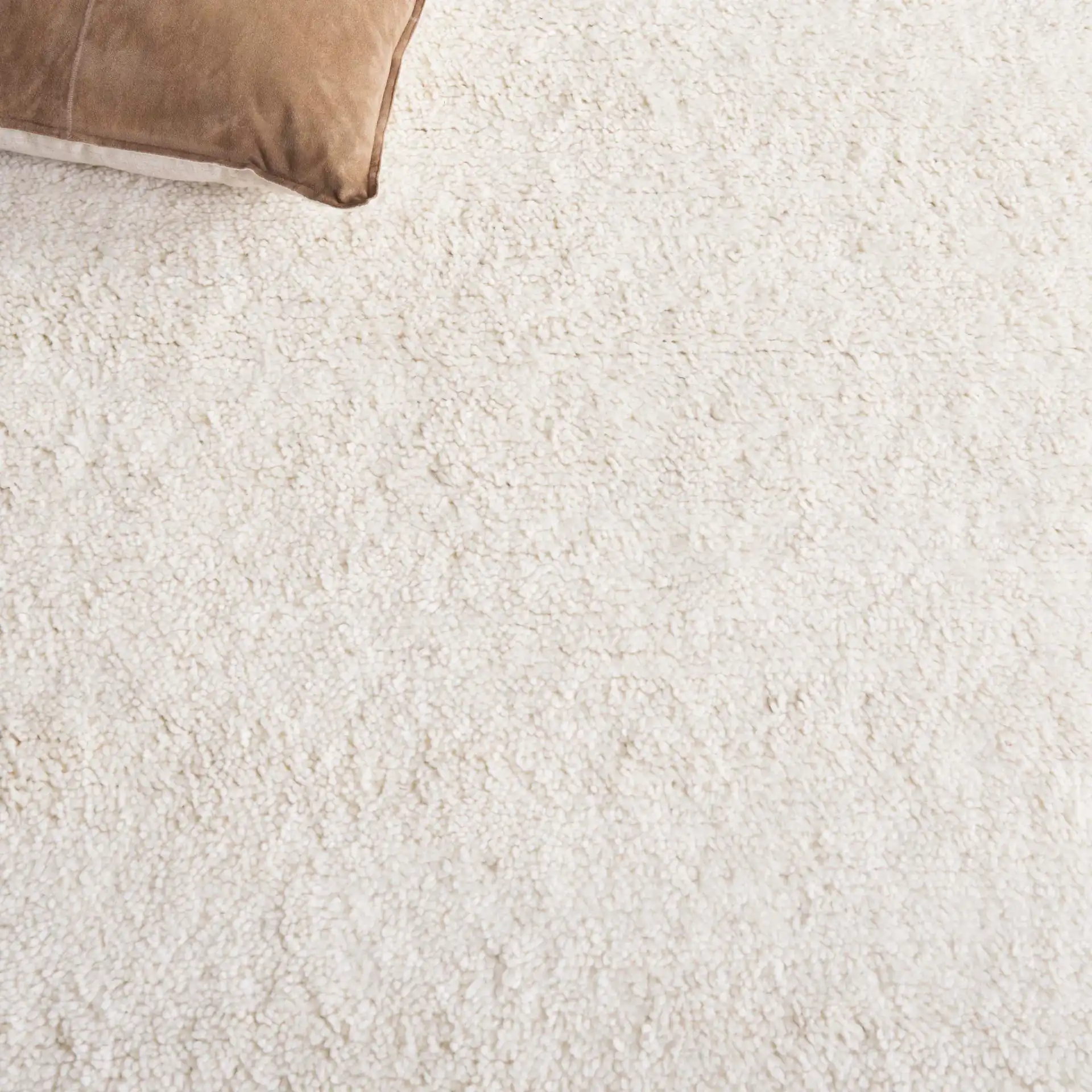 Vermont Scalloped Border Shag Wool Rug in Ivory in a styled room