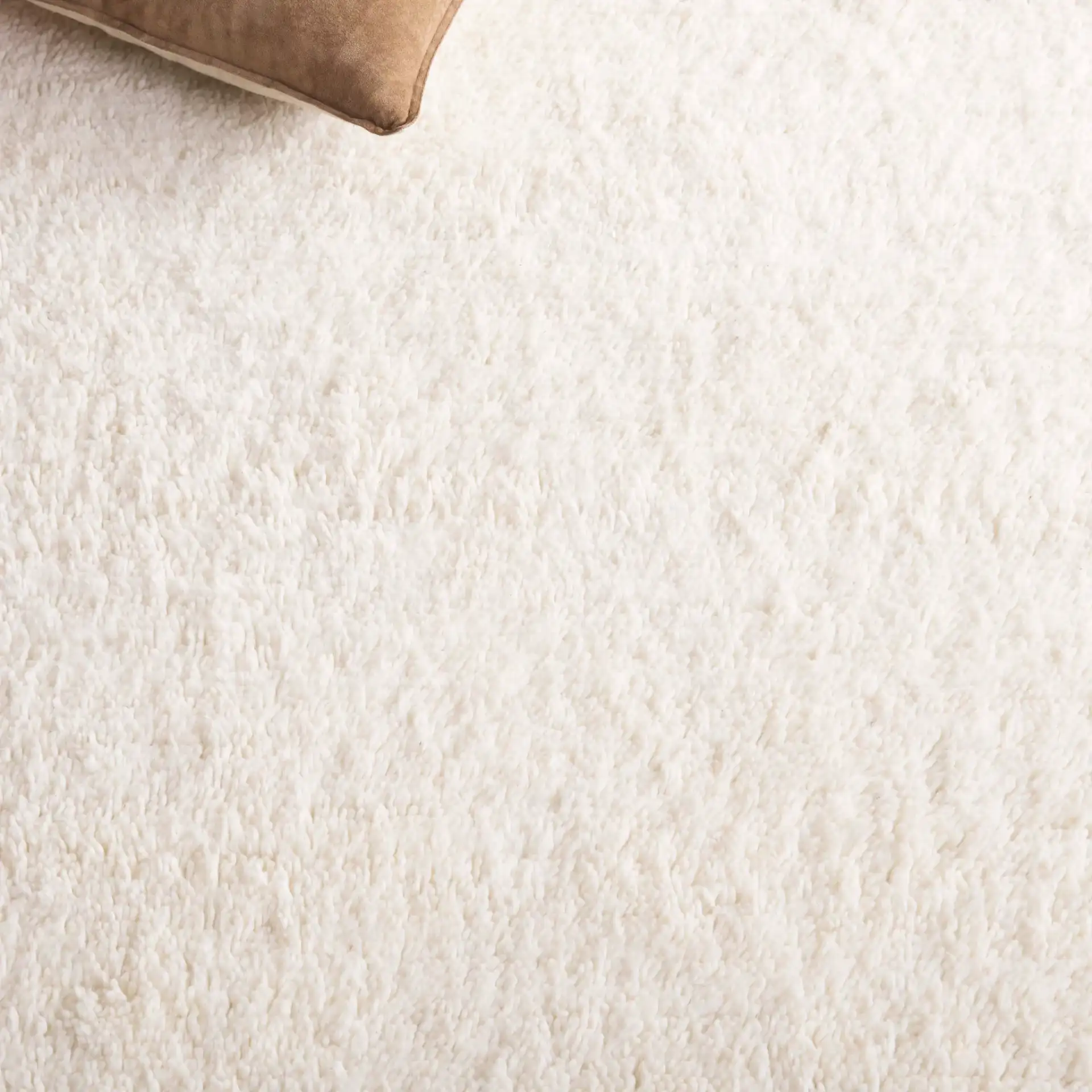 Vermont Border Shag Wool Rug in Ivory / Beige in a styled room