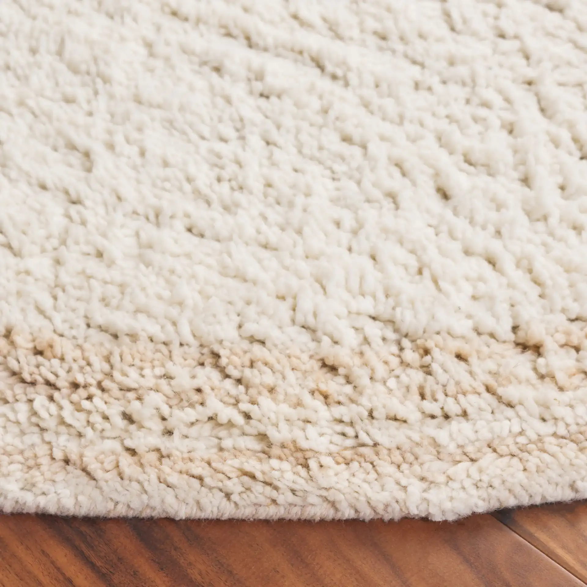 Vermont Border Shag Wool Rug in Ivory / Beige in a styled room