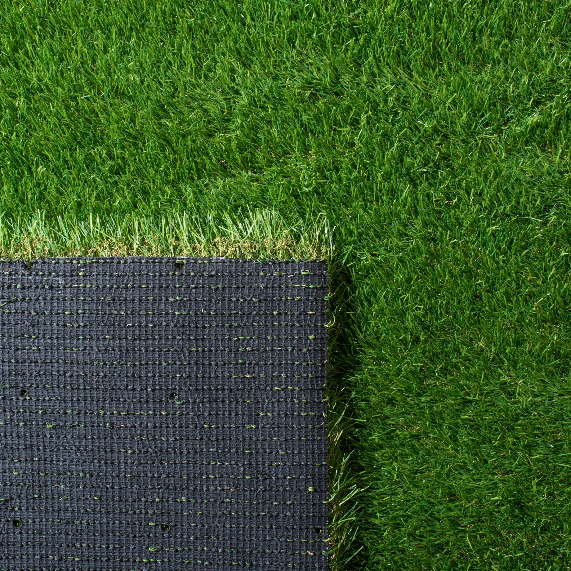 Turf Solid Outdoor Rug in Green in a styled room