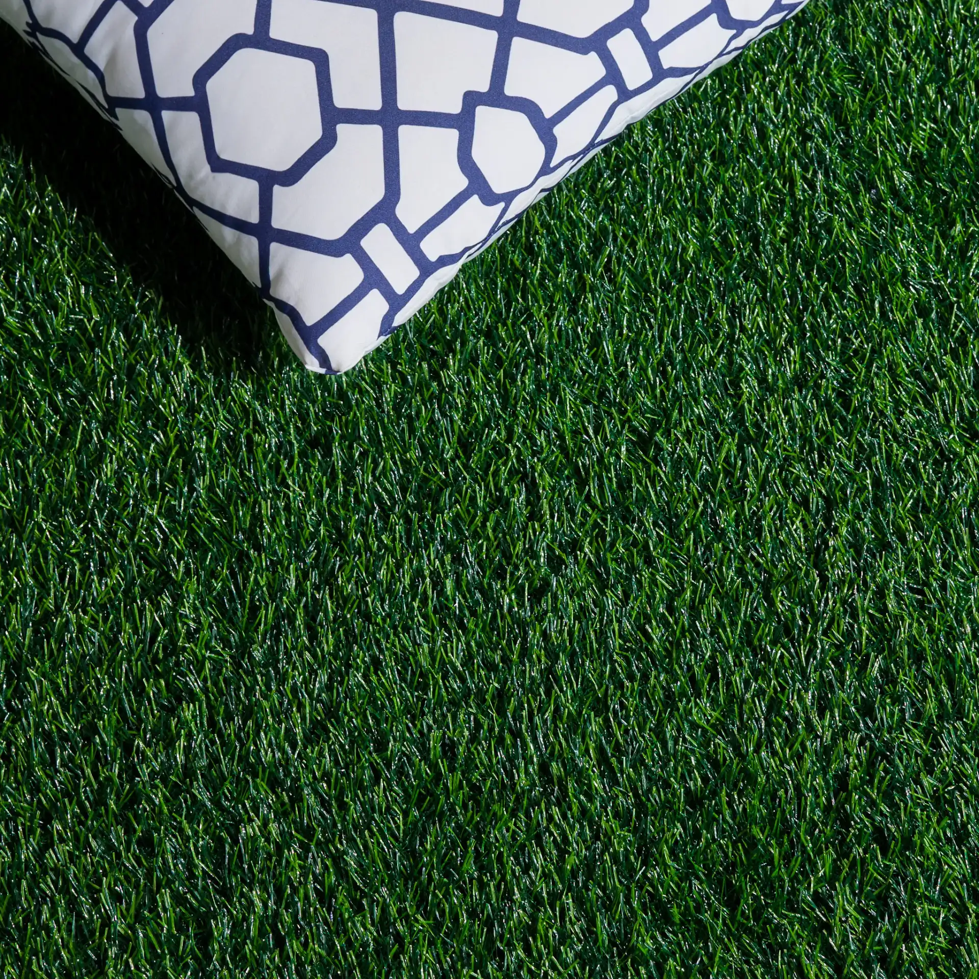 Turf Modern Solid Outdoor Rug in Green / Light Green in a styled room