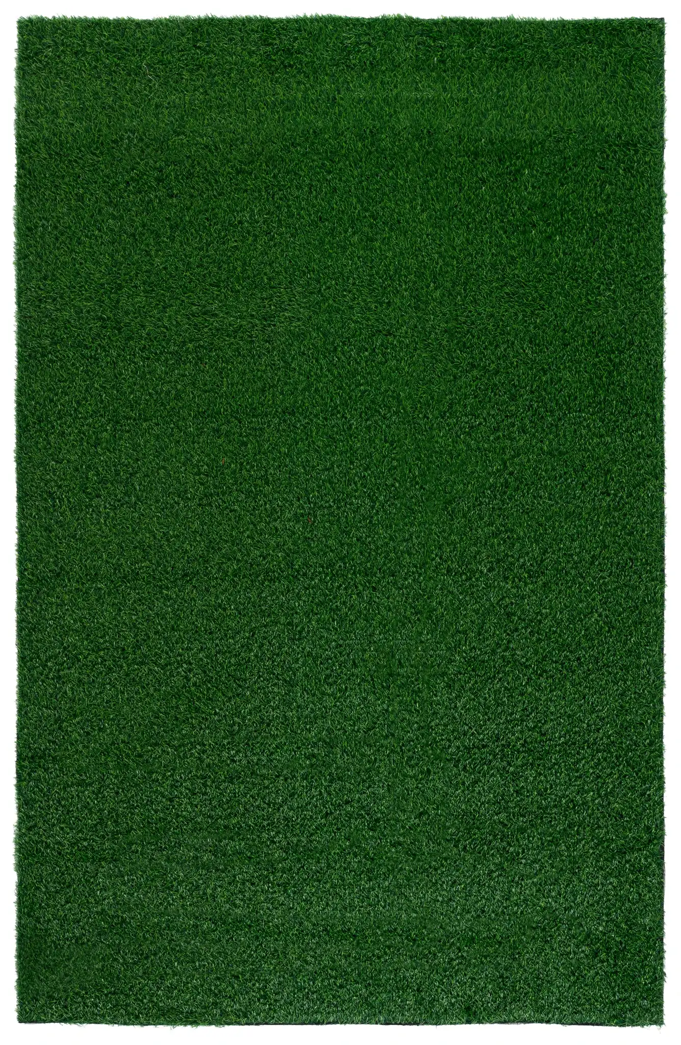Turf Modern Solid Outdoor Rug in Green / Light Green