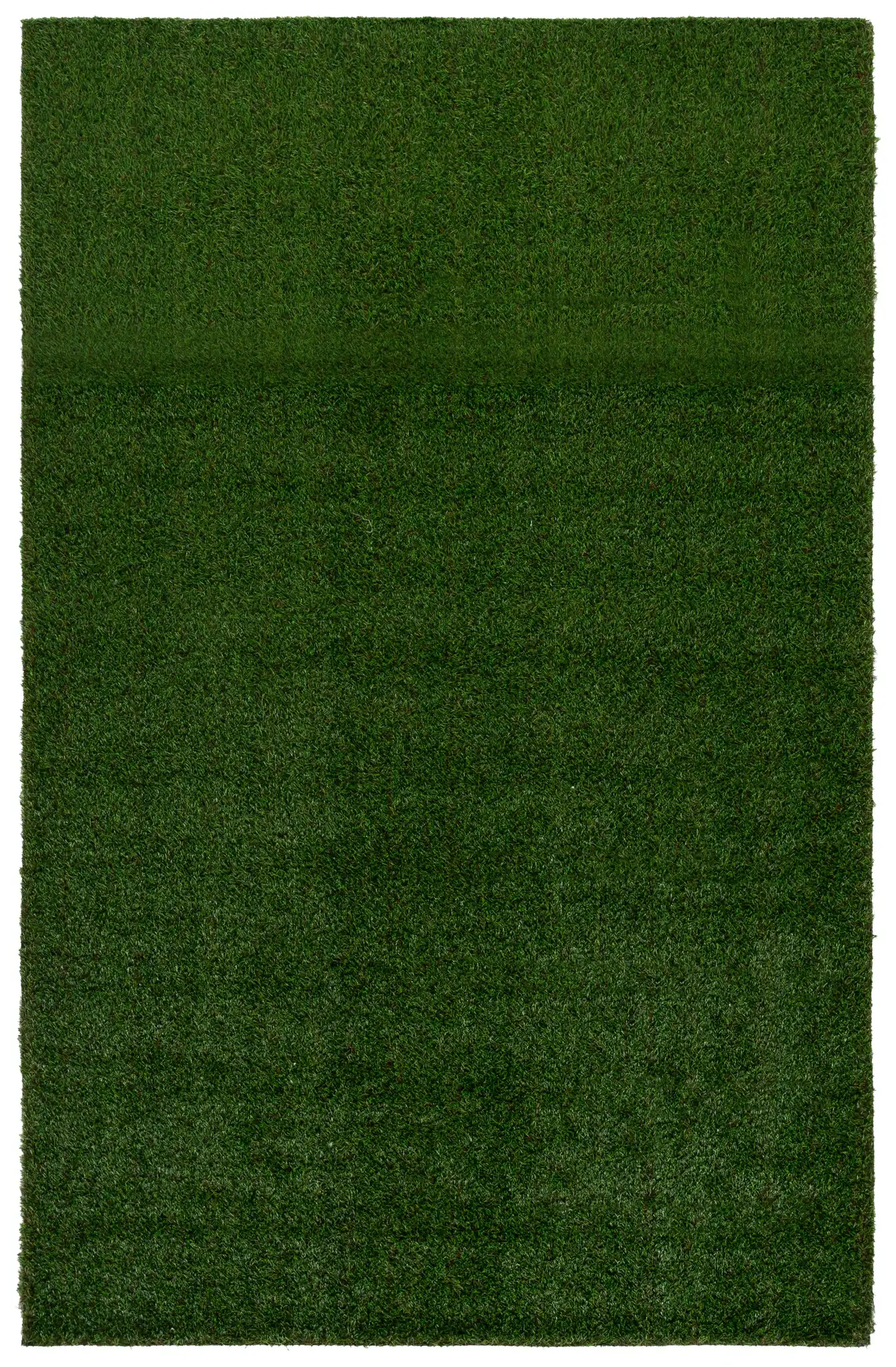 Turf Textured Solid Outdoor Rug in Natural / Green