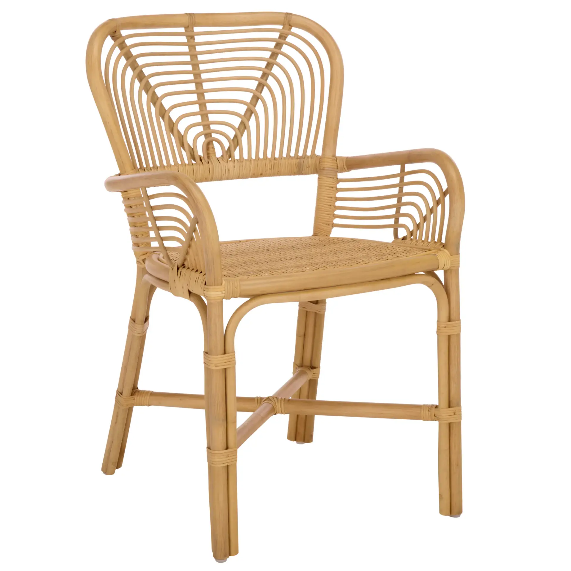 Rimma Rattan Arm Chair (Set Of 2)