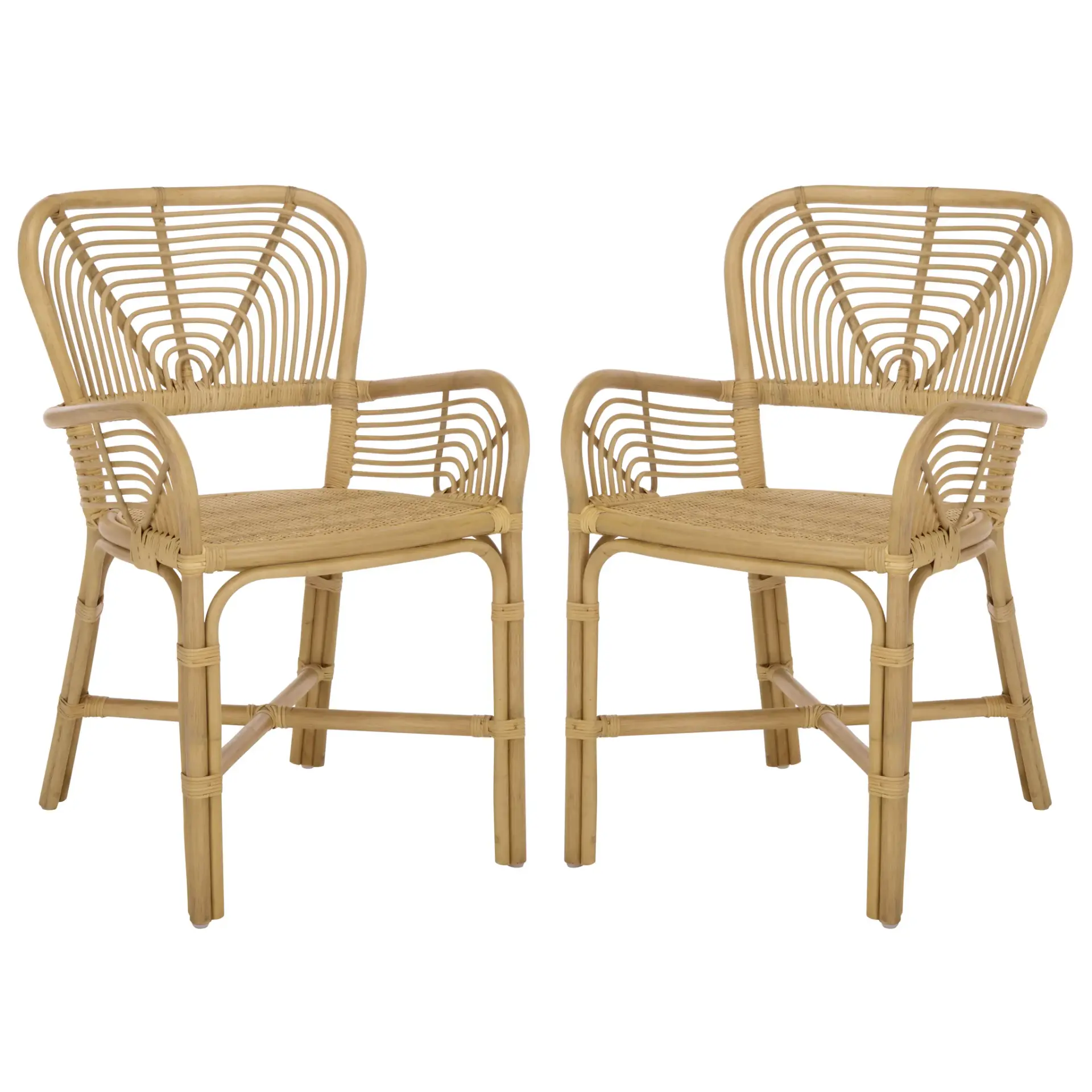 Rimma Rattan Arm Chair (Set Of 2)