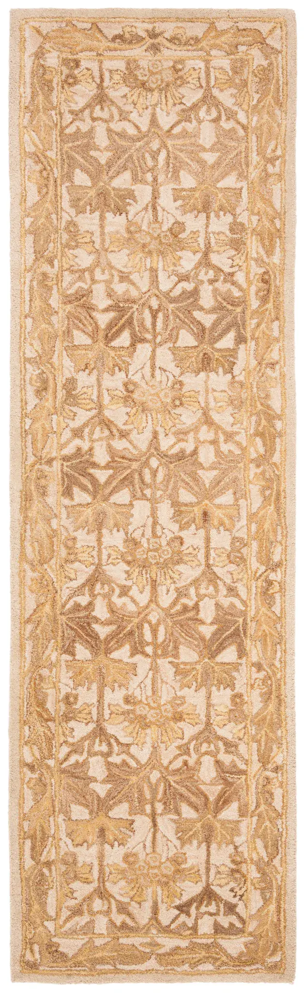 Anatolia Botanical Border Hand-Tufted Wool Rug