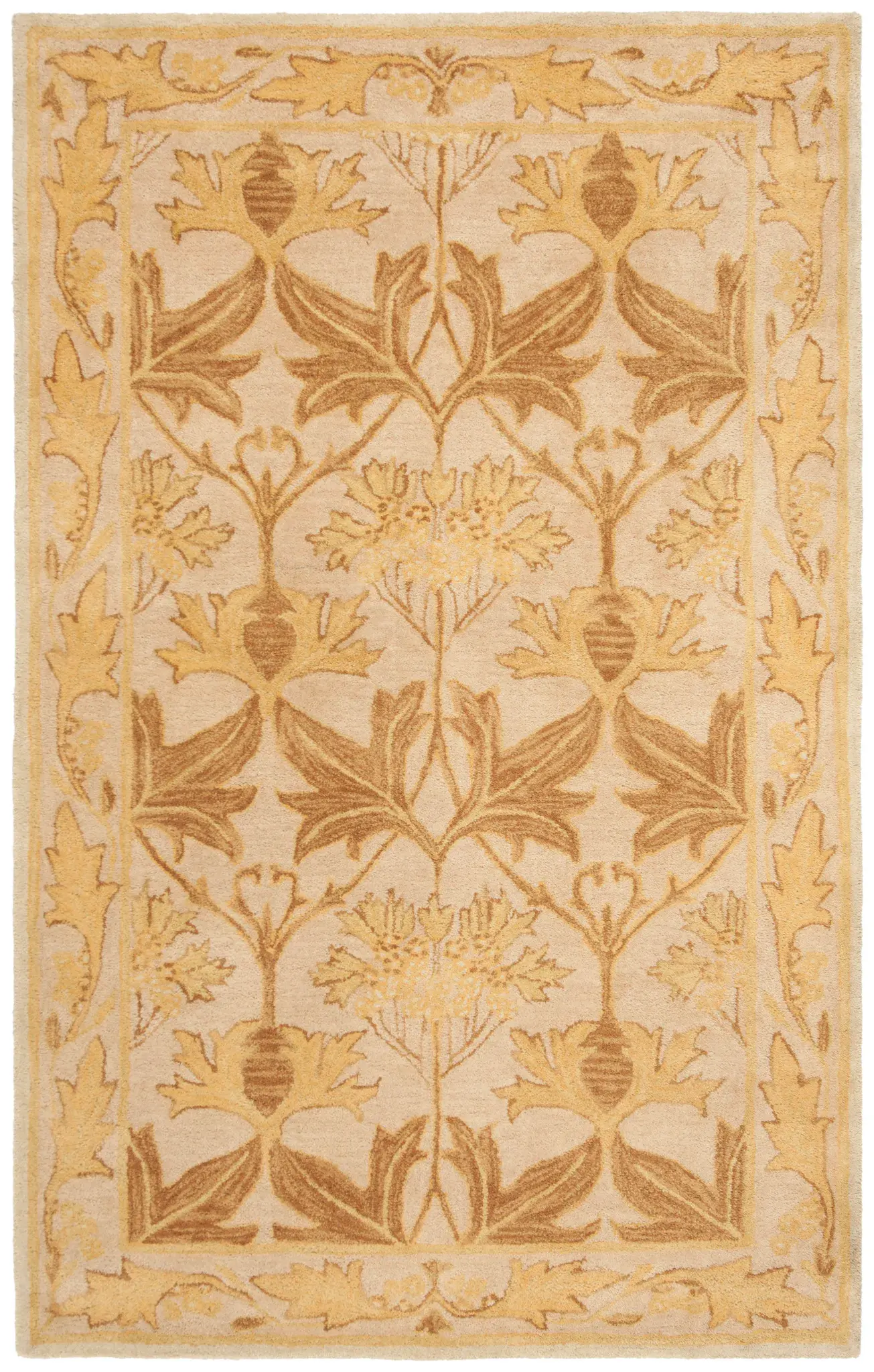 Anatolia Botanical Border Hand-Tufted Wool Rug