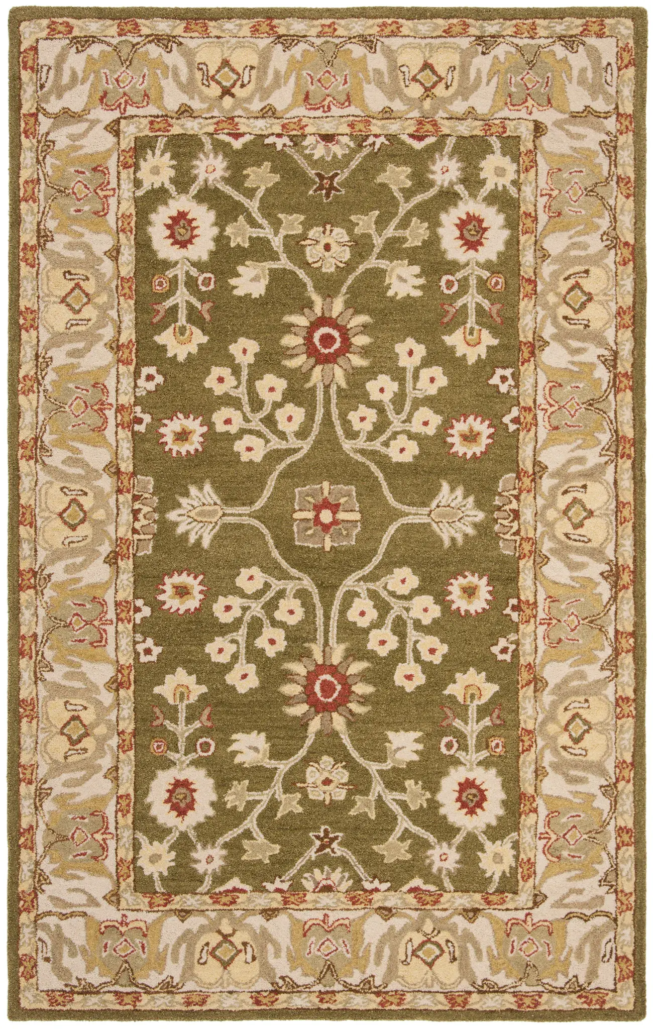 Anatolia Floral Border Hand-Tufted Rug