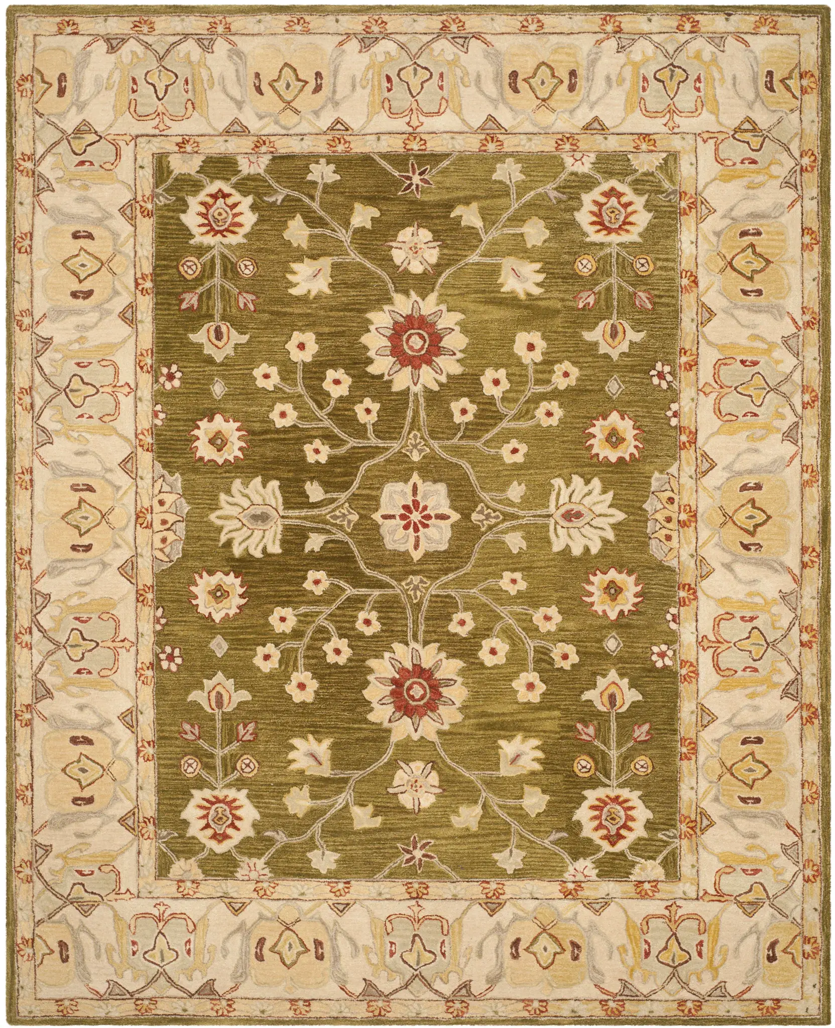 Anatolia Floral Border Hand-Tufted Rug