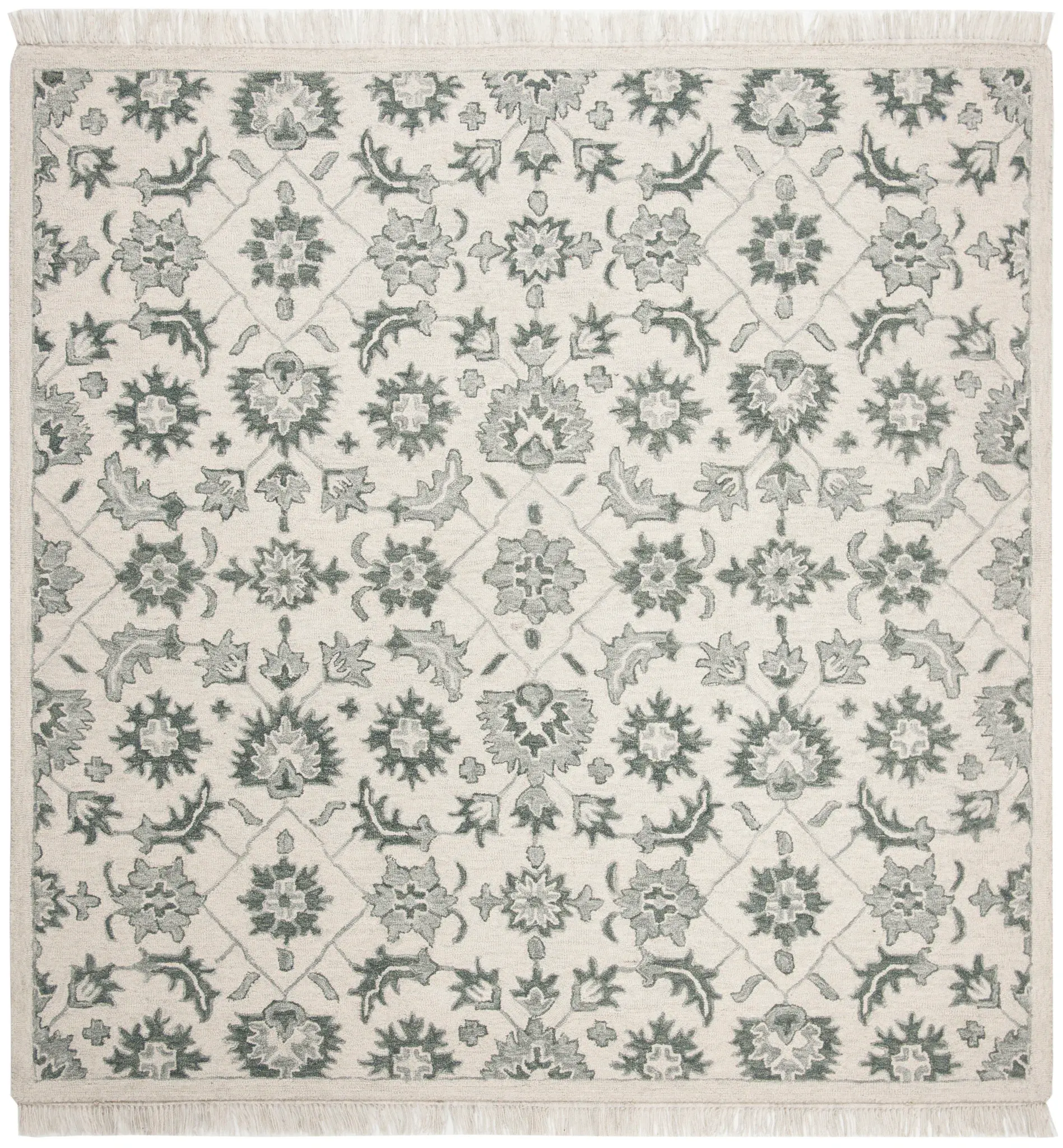 Aspen Fringe Floral Trellis Hand-Tufted Wool Rug