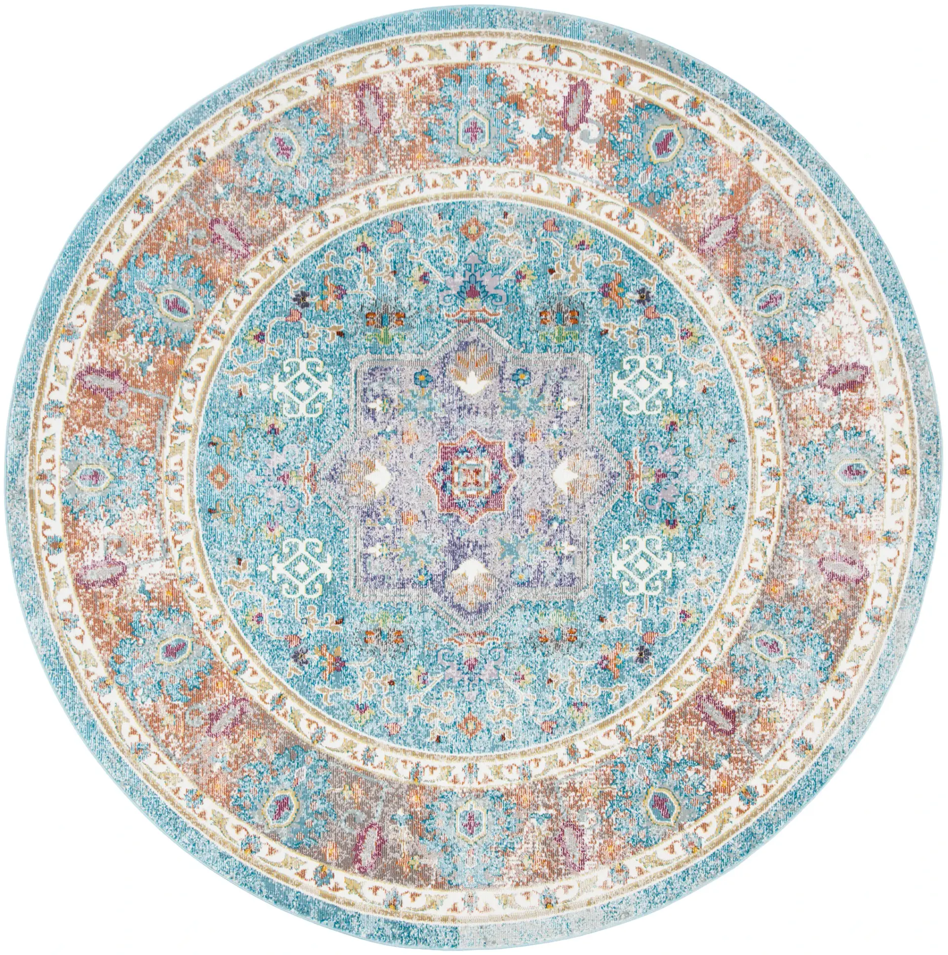 Aria Distressed Traditional Medallion Rug