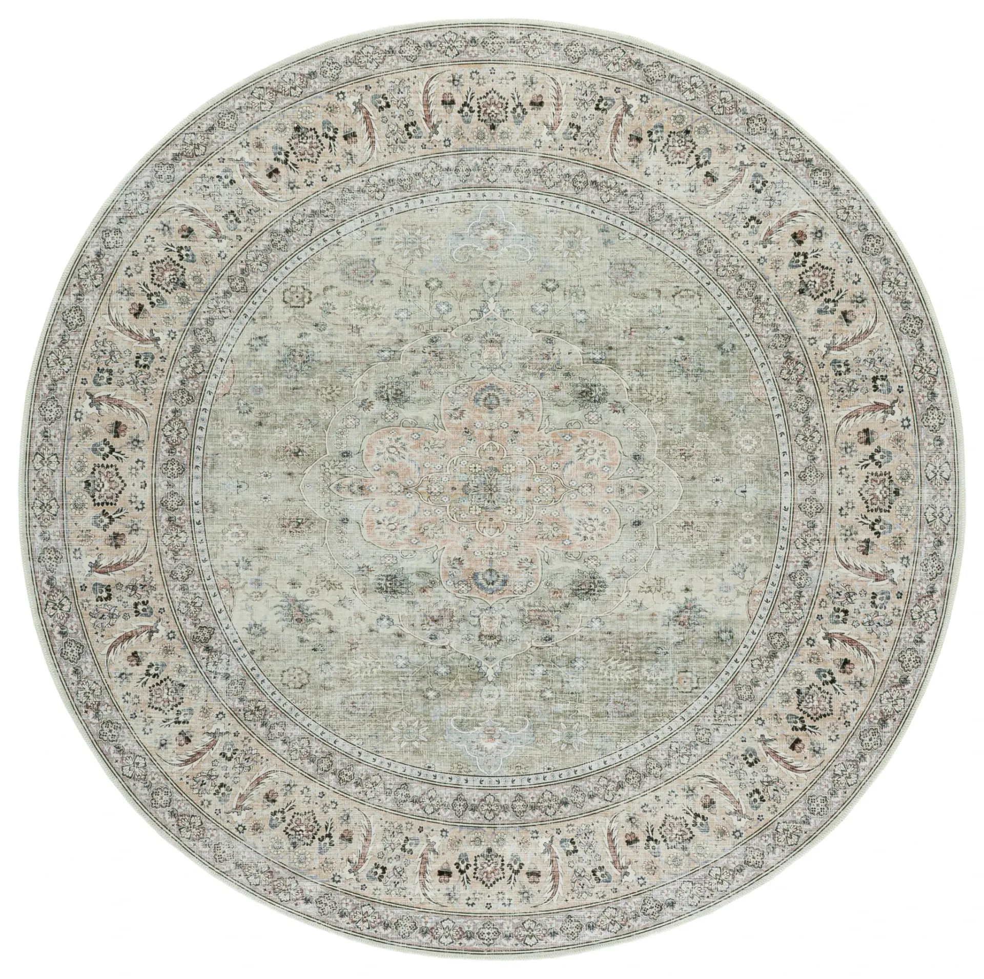 Arizona Distressed Oval Medallion Washable Rug