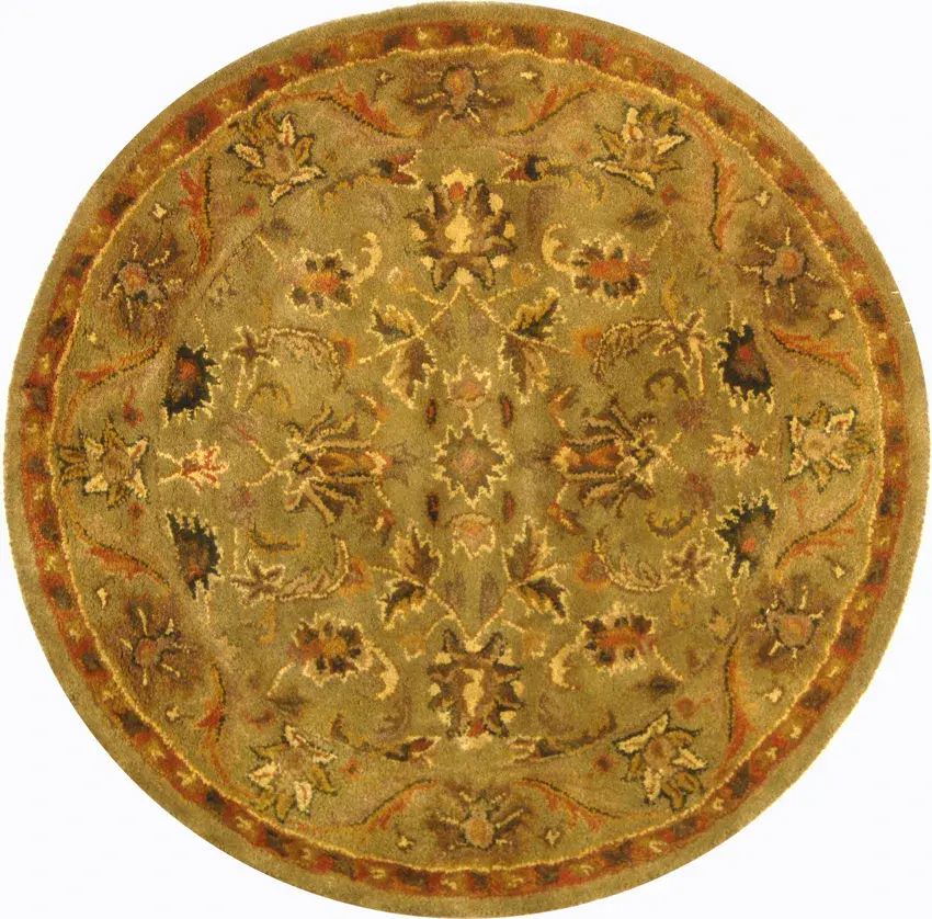 Antiquity Acanthus Bordered Hand-Tufted Wool Rug