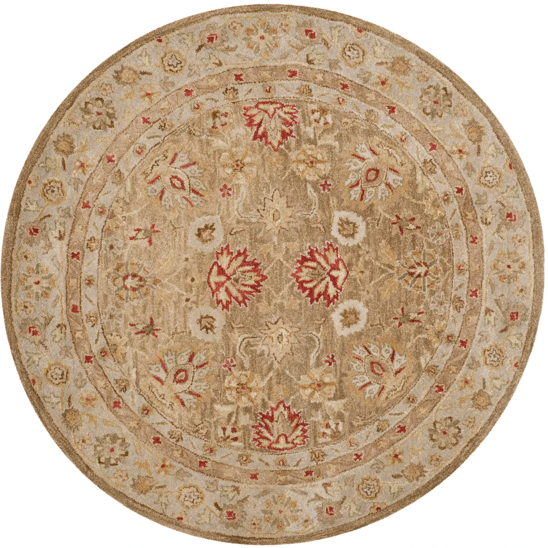 Antiquity Floral Border Hand-Tufted Wool Rug