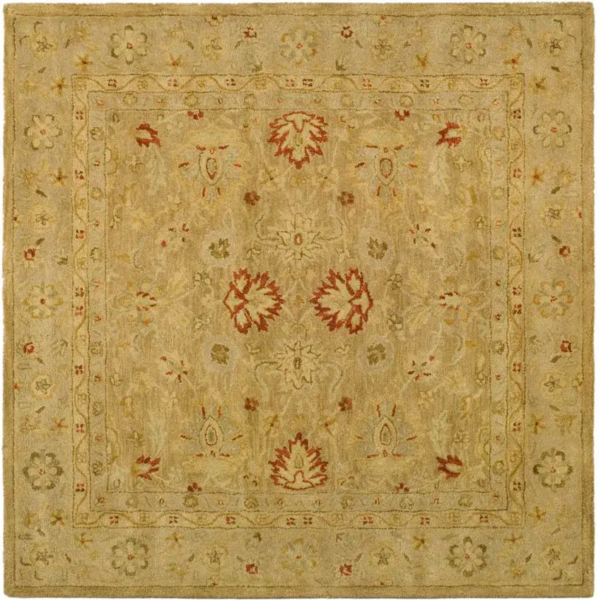 Antiquity Floral Border Hand-Tufted Wool Rug