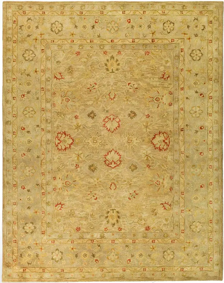 Antiquity Floral Border Hand-Tufted Wool Rug