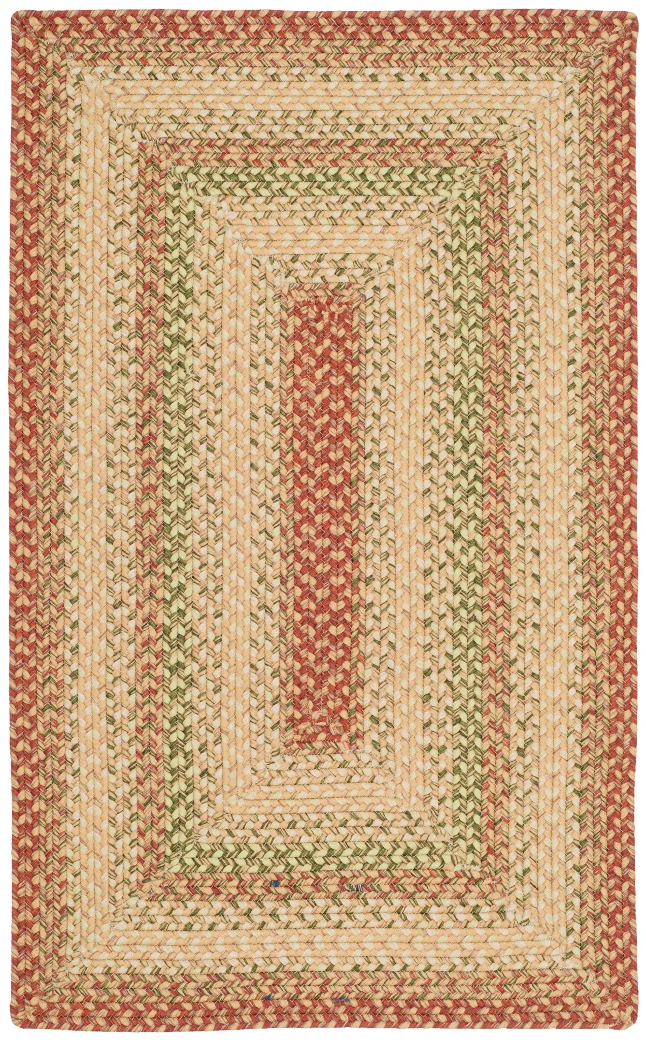 Braided Concentric Stripe Border Washable Outdoor Rug