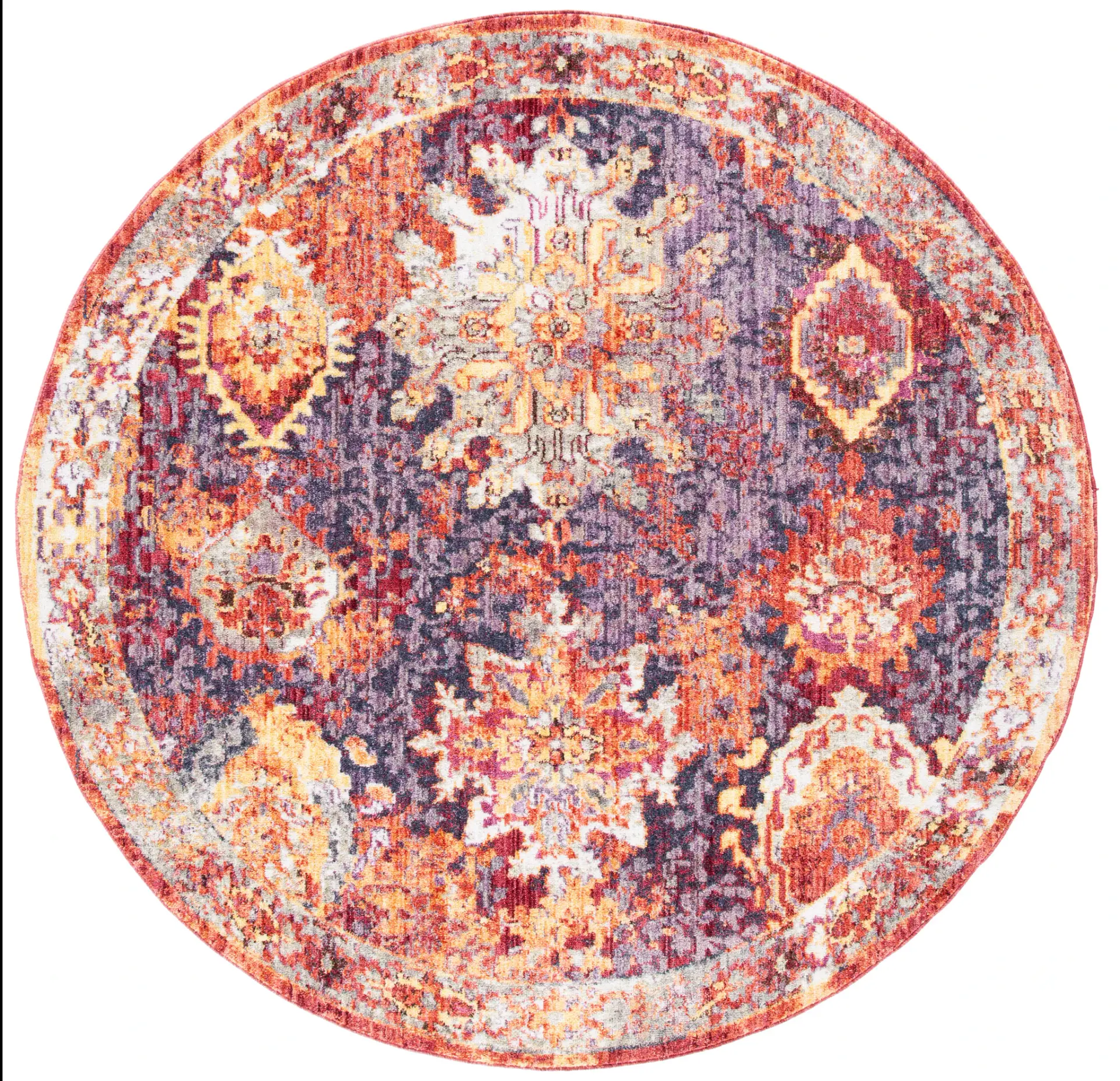 Bristol Distressed Traditional Allover Rug