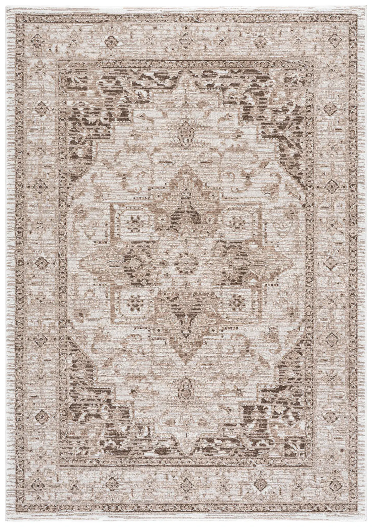 Chamber Distressed Traditional Medallion Rug