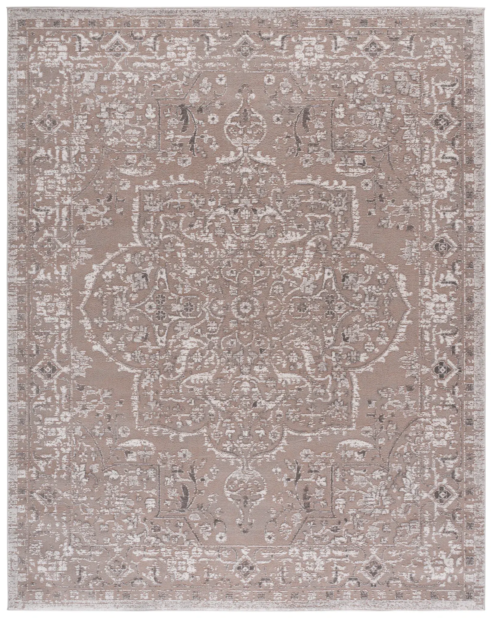 Chamber Medallion Bordered Rug