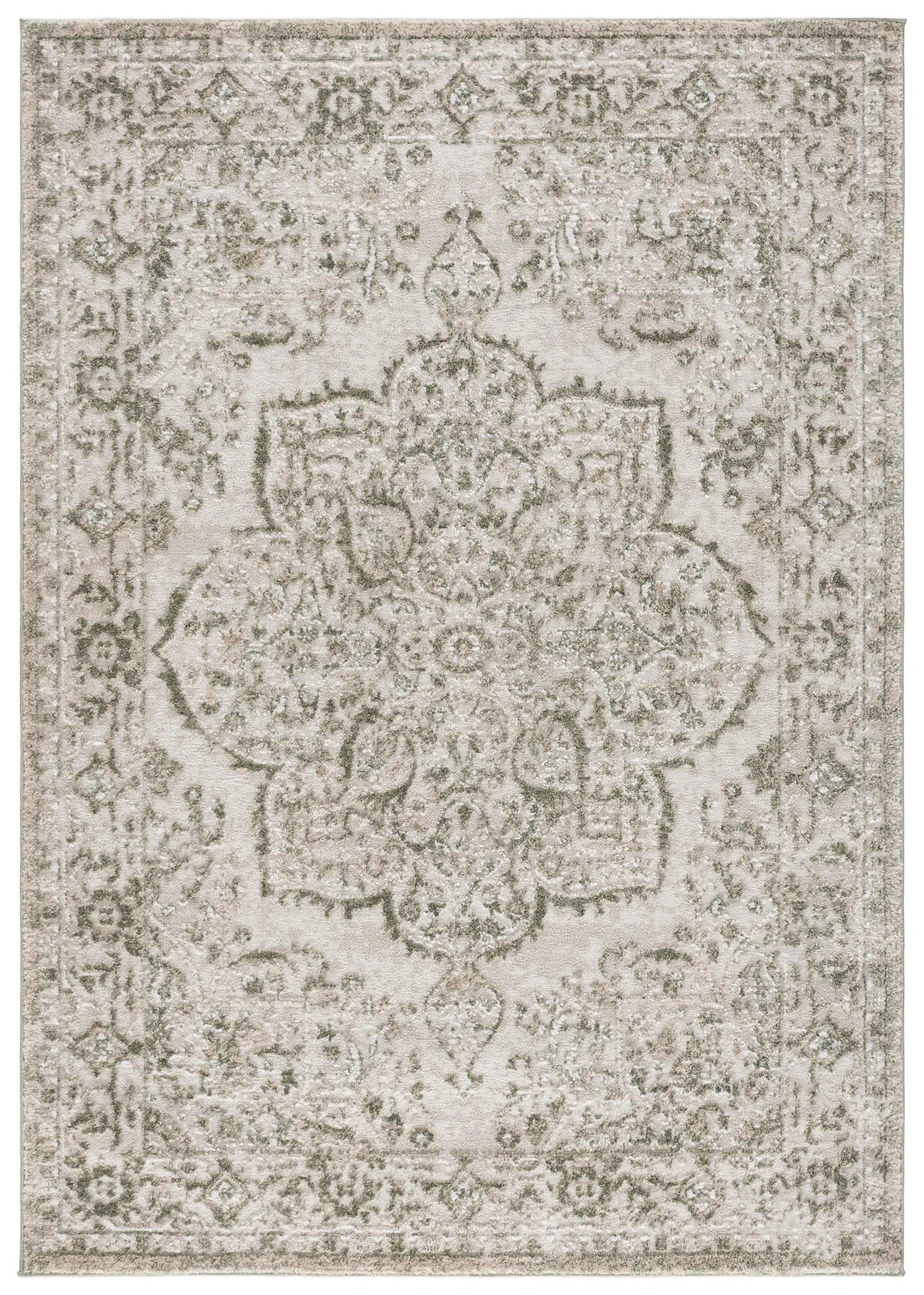 Chamber Medallion Bordered Rug