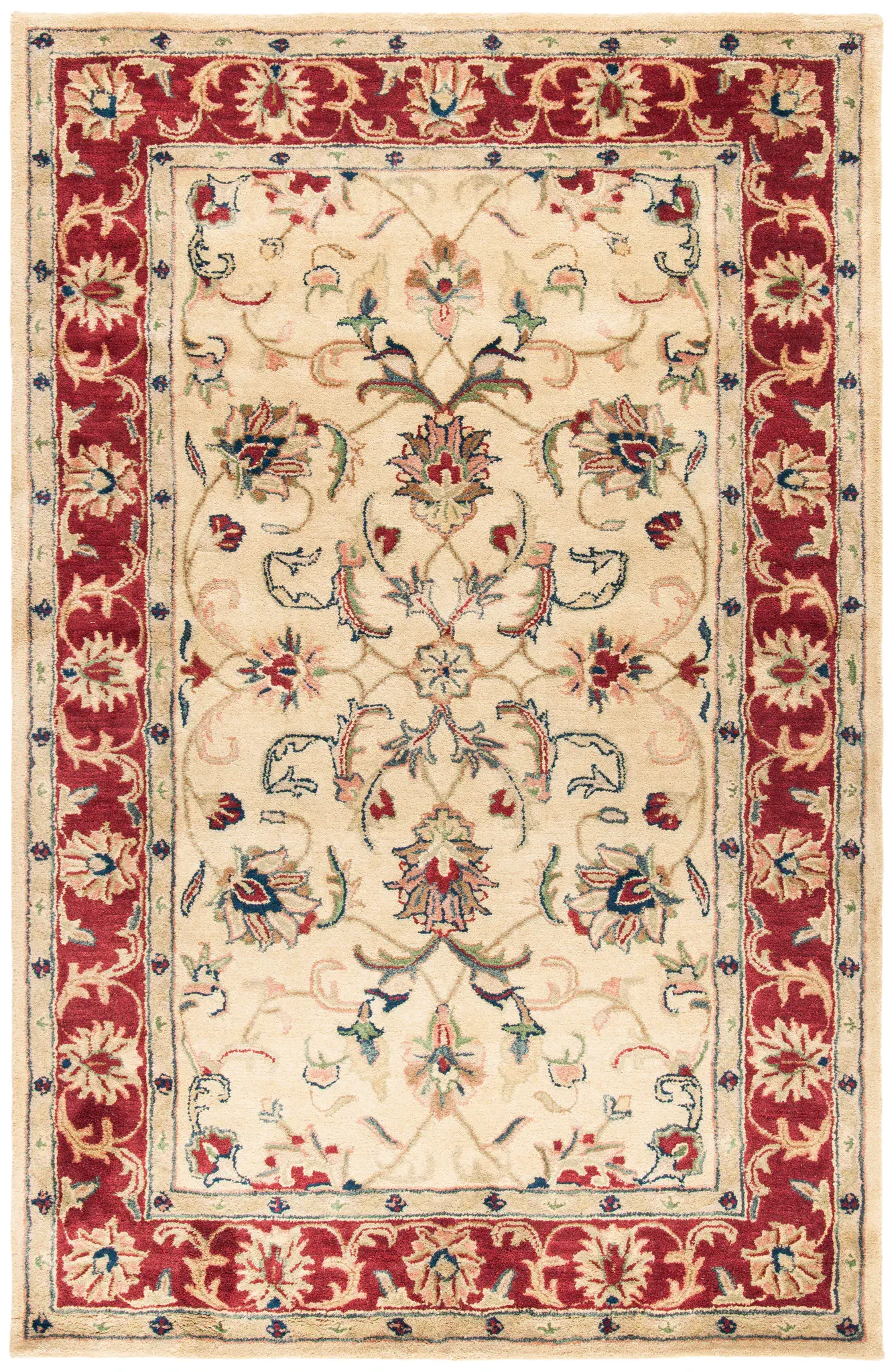 Classic Traditional Botanical Border Hand-Tufted Wool Rug