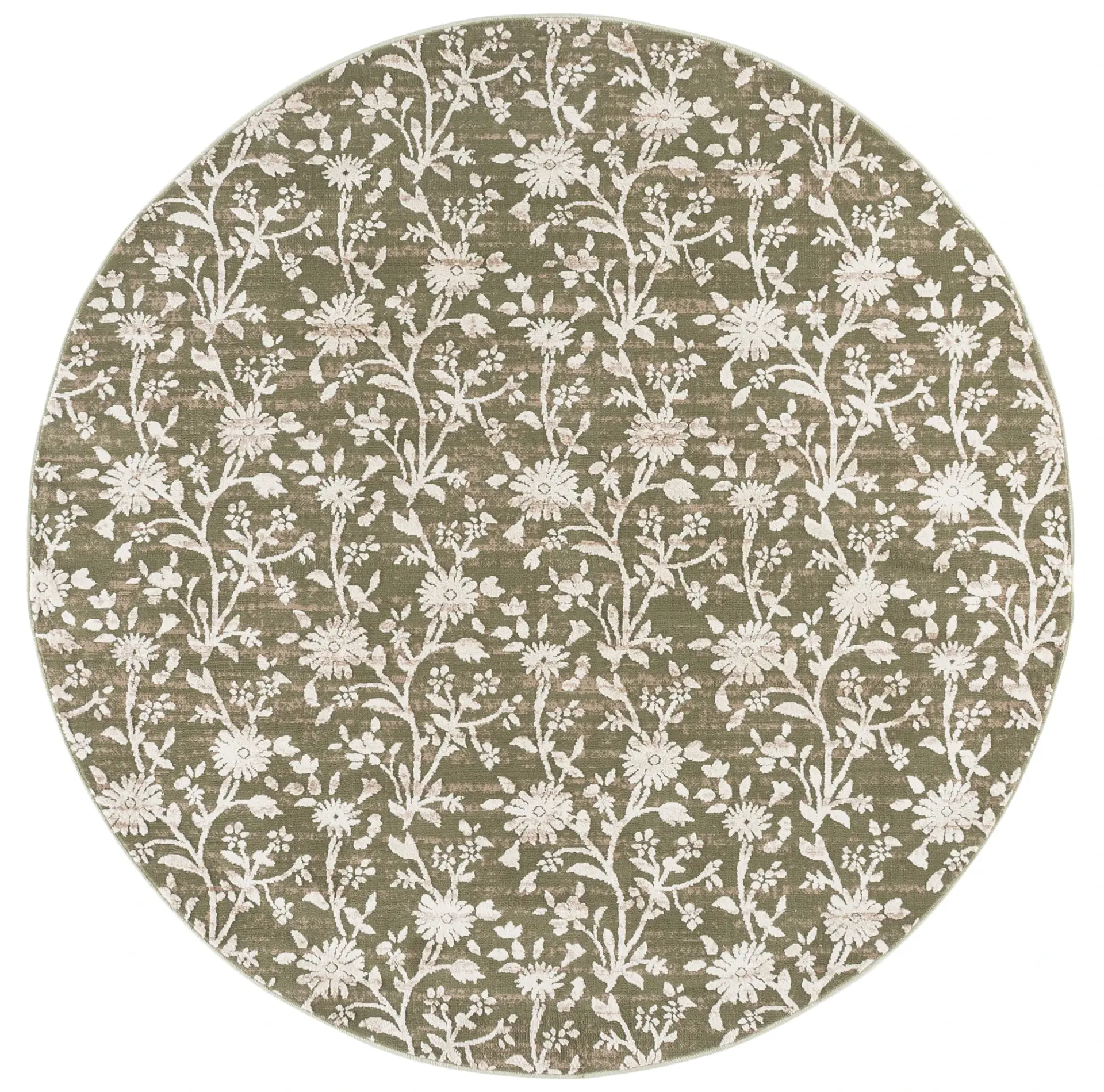 Cameron Transitional Floral Vine Rug