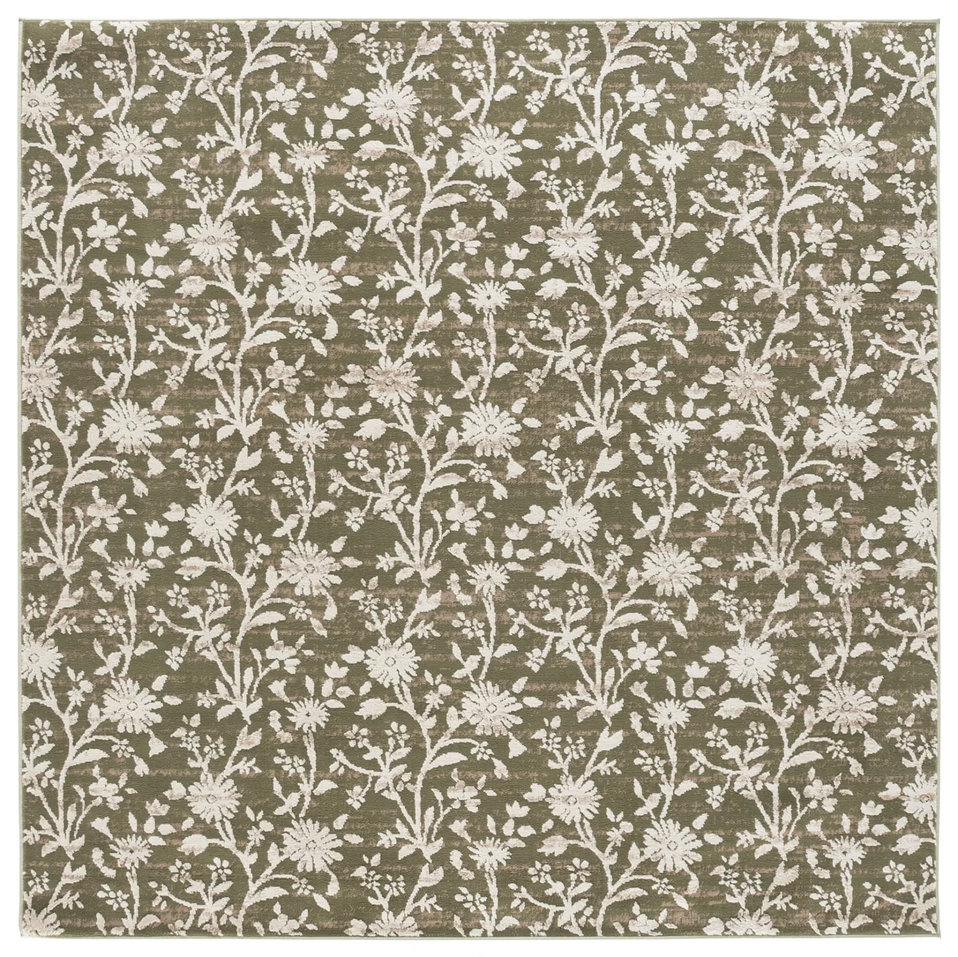 Cameron Transitional Floral Vine Rug