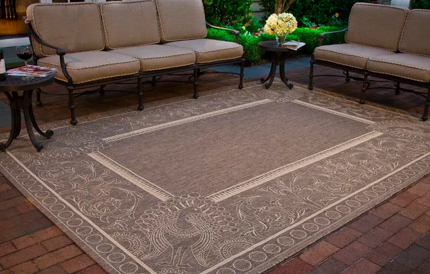 Courtyard Vine And Bird Bordered Outdoor Rug